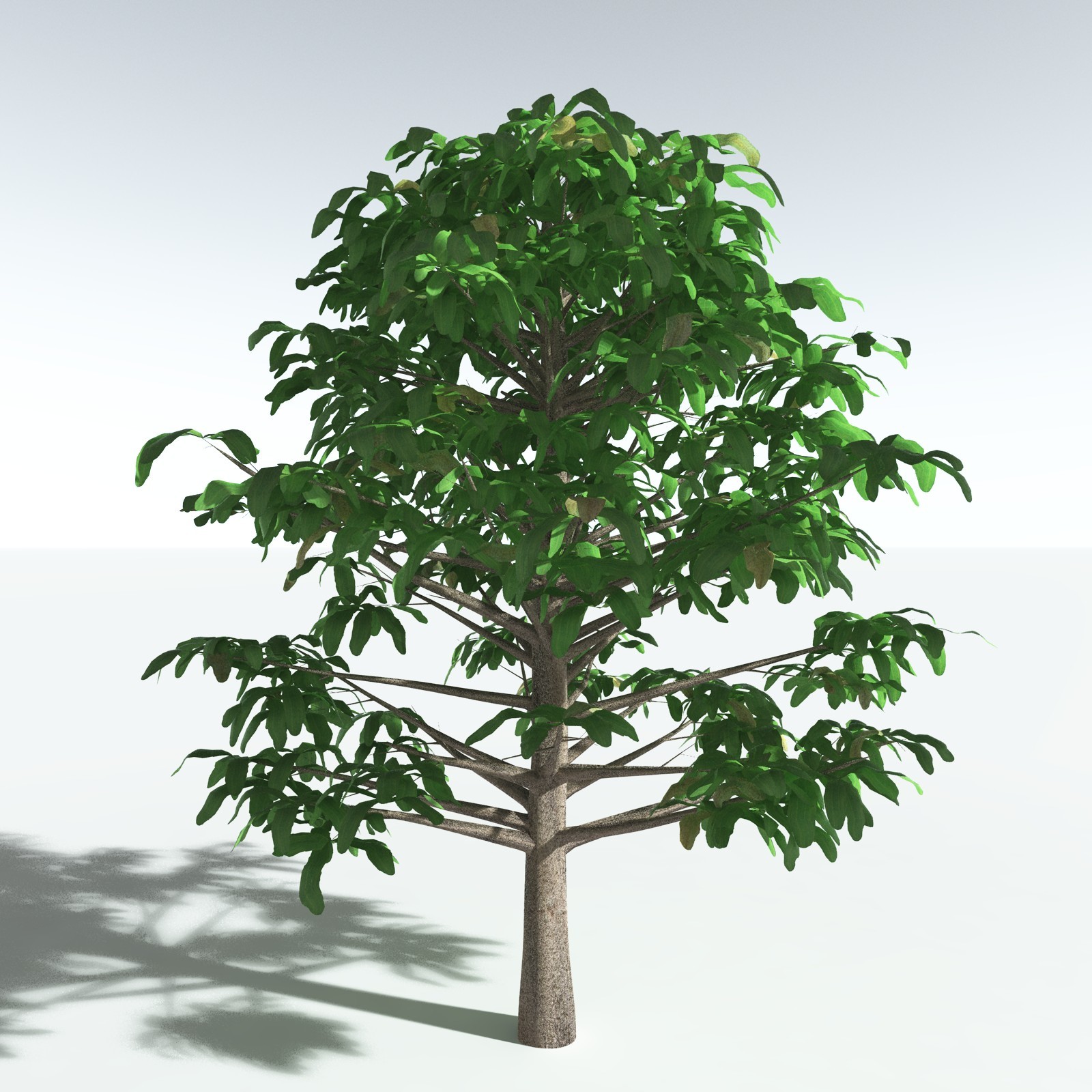 EVERYPlant Glossopteris Communis for Vue by N/A