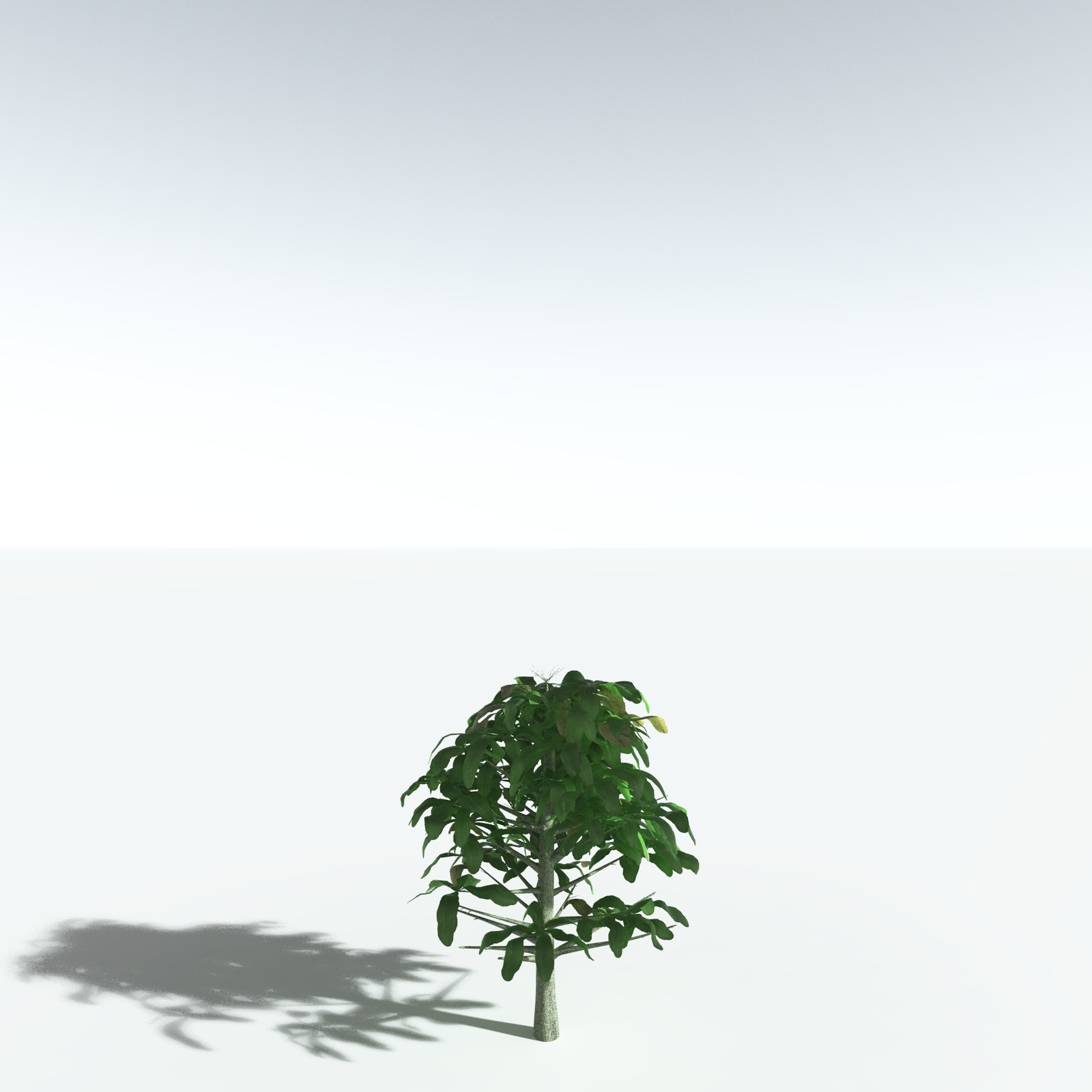 EVERYPlant Glossopteris Communis for Vue by N/A