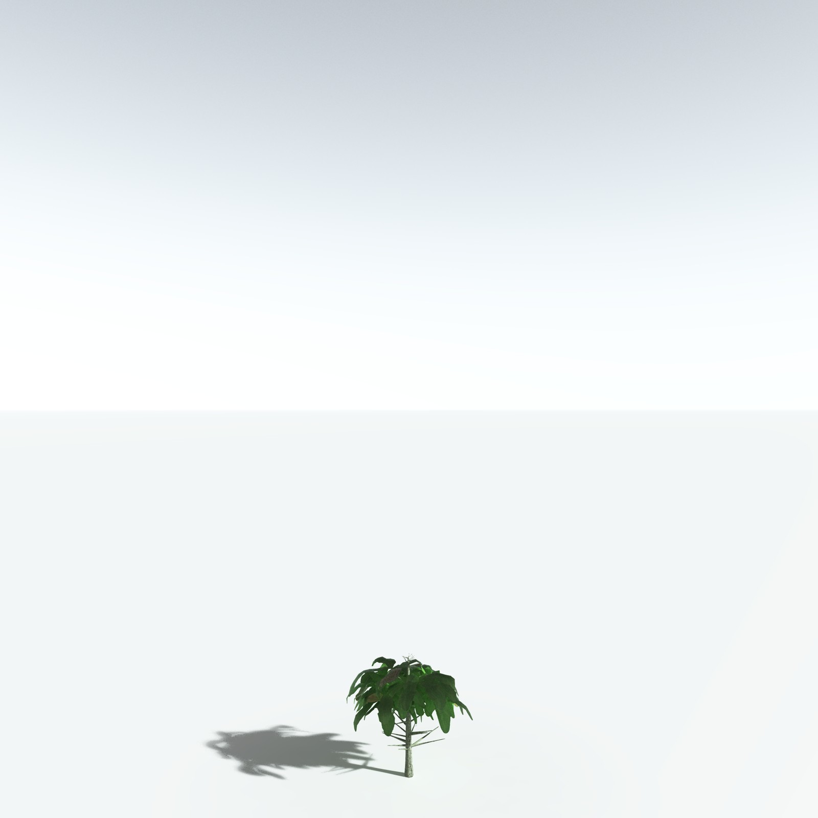 EVERYPlant Glossopteris Communis for Vue by N/A