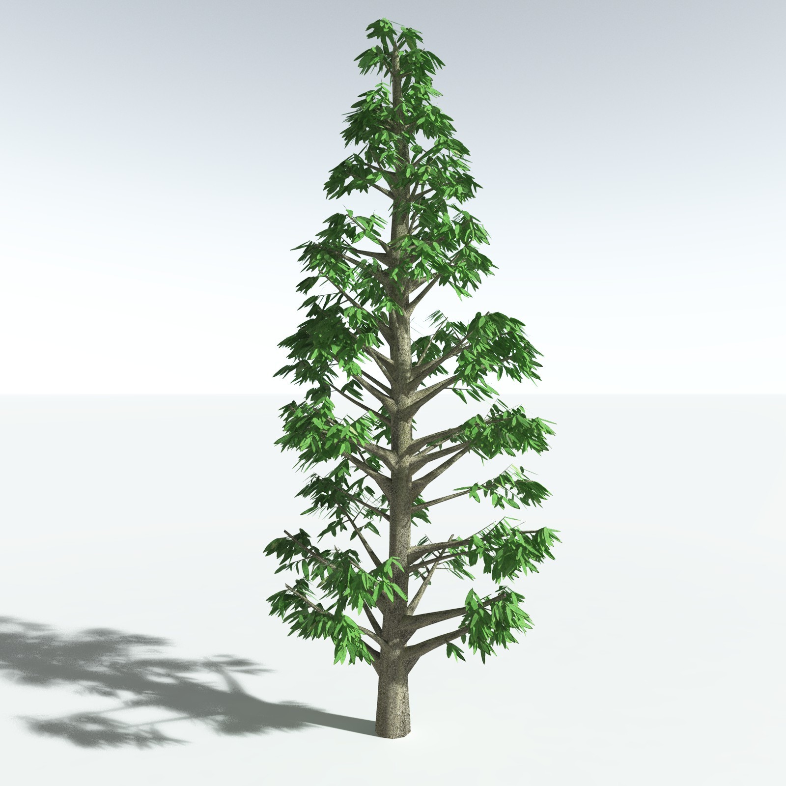 EVERYPlant Cordaites Ludlowi for Vue by N/A