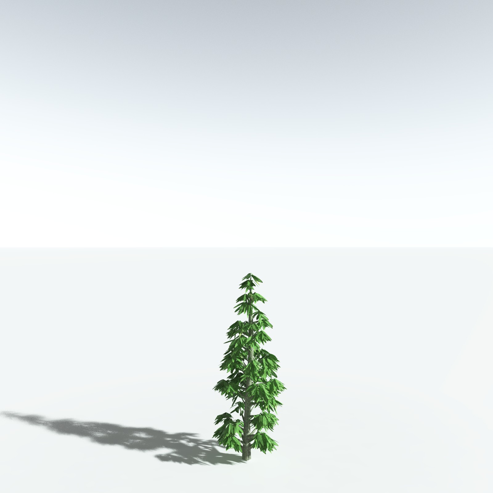 EVERYPlant Cordaites Ludlowi for Vue by N/A