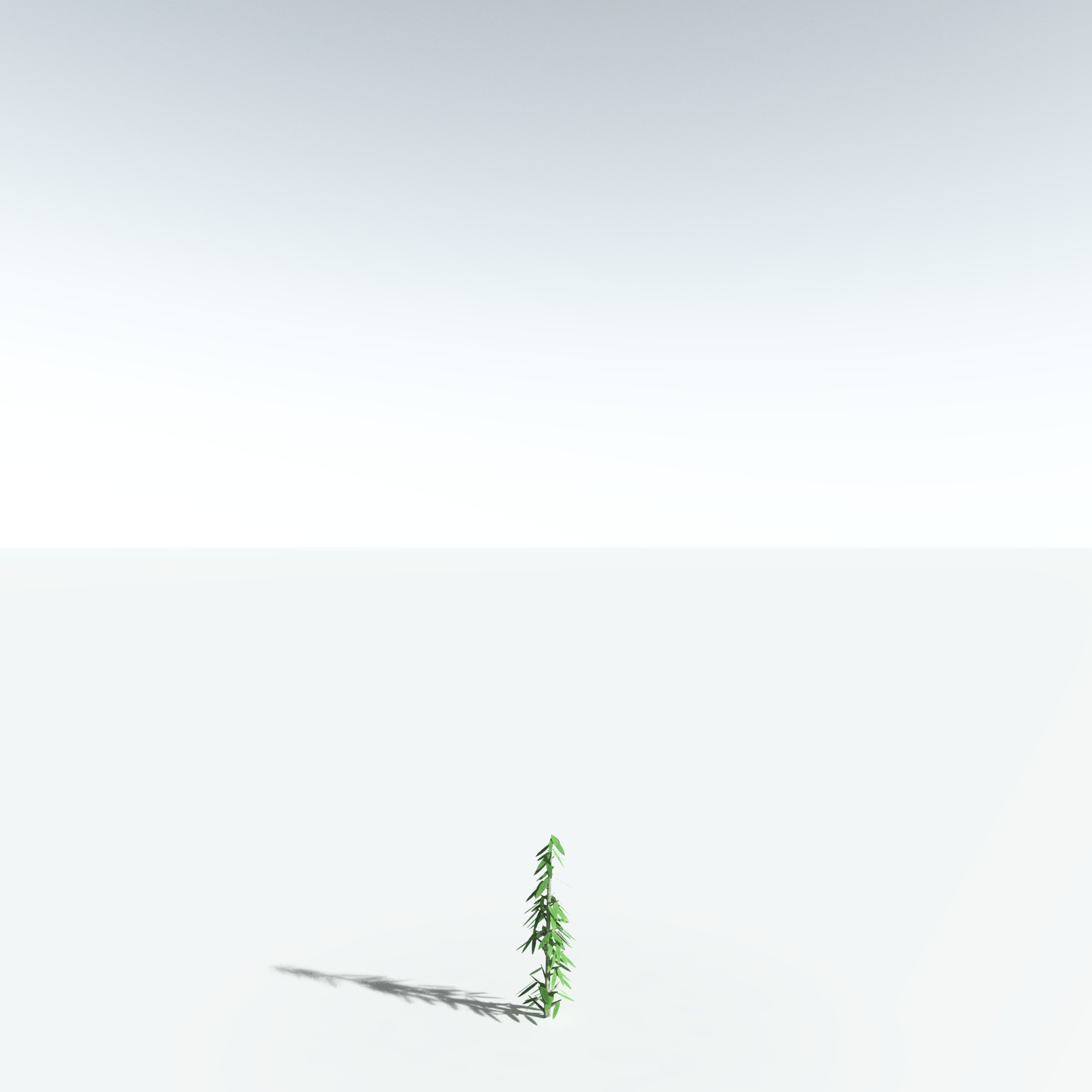 EVERYPlant Cordaites Ludlowi for Vue by N/A
