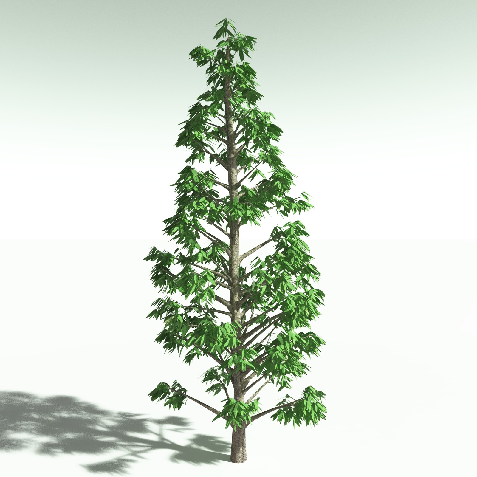 EVERYPlant Cordaites Ludlowi for Poser by N/A