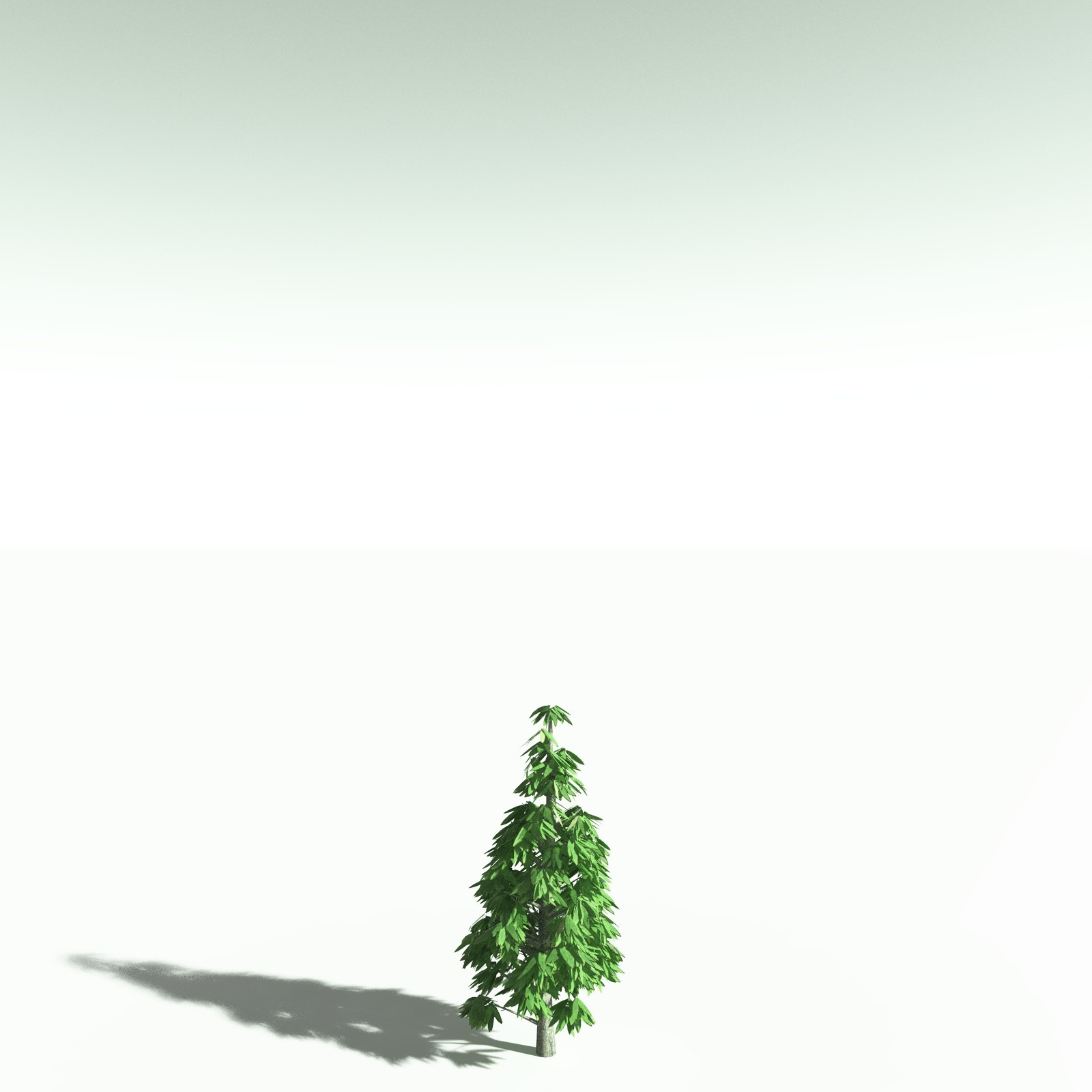 EVERYPlant Cordaites Ludlowi for Poser by N/A
