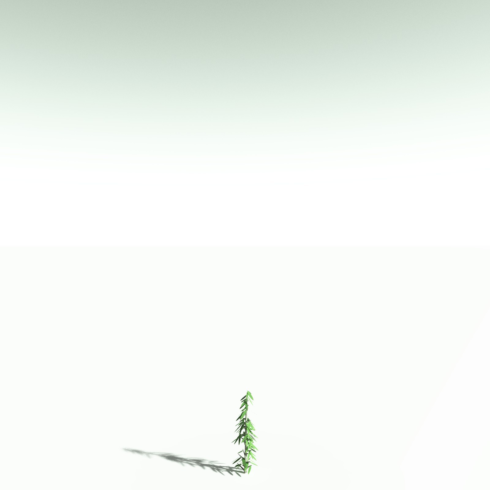 EVERYPlant Cordaites Ludlowi for Poser by N/A