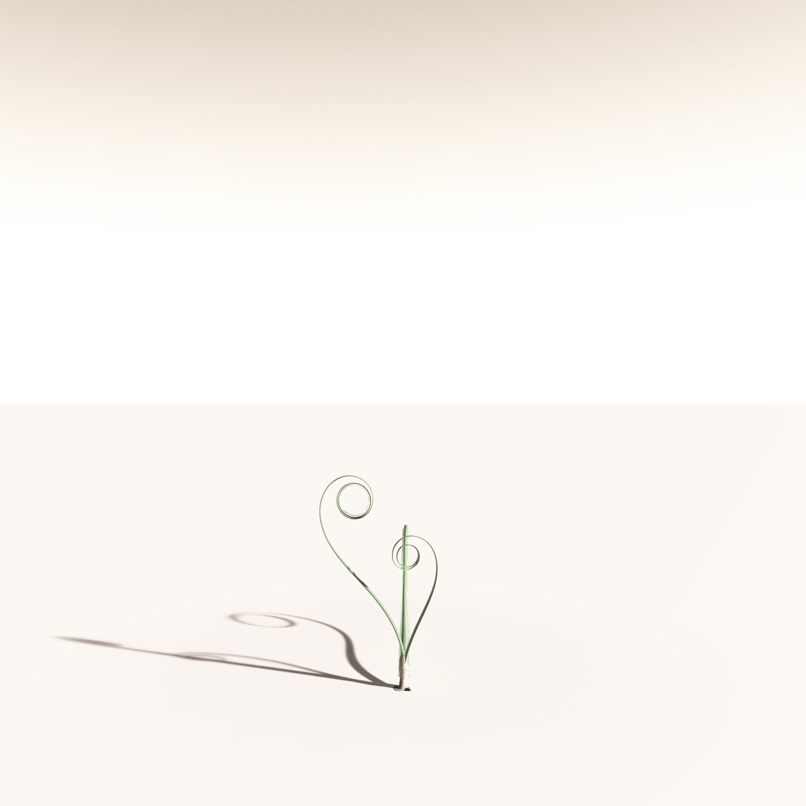EVERYPlant Noeggerthia Foliosa for Daz by N/A