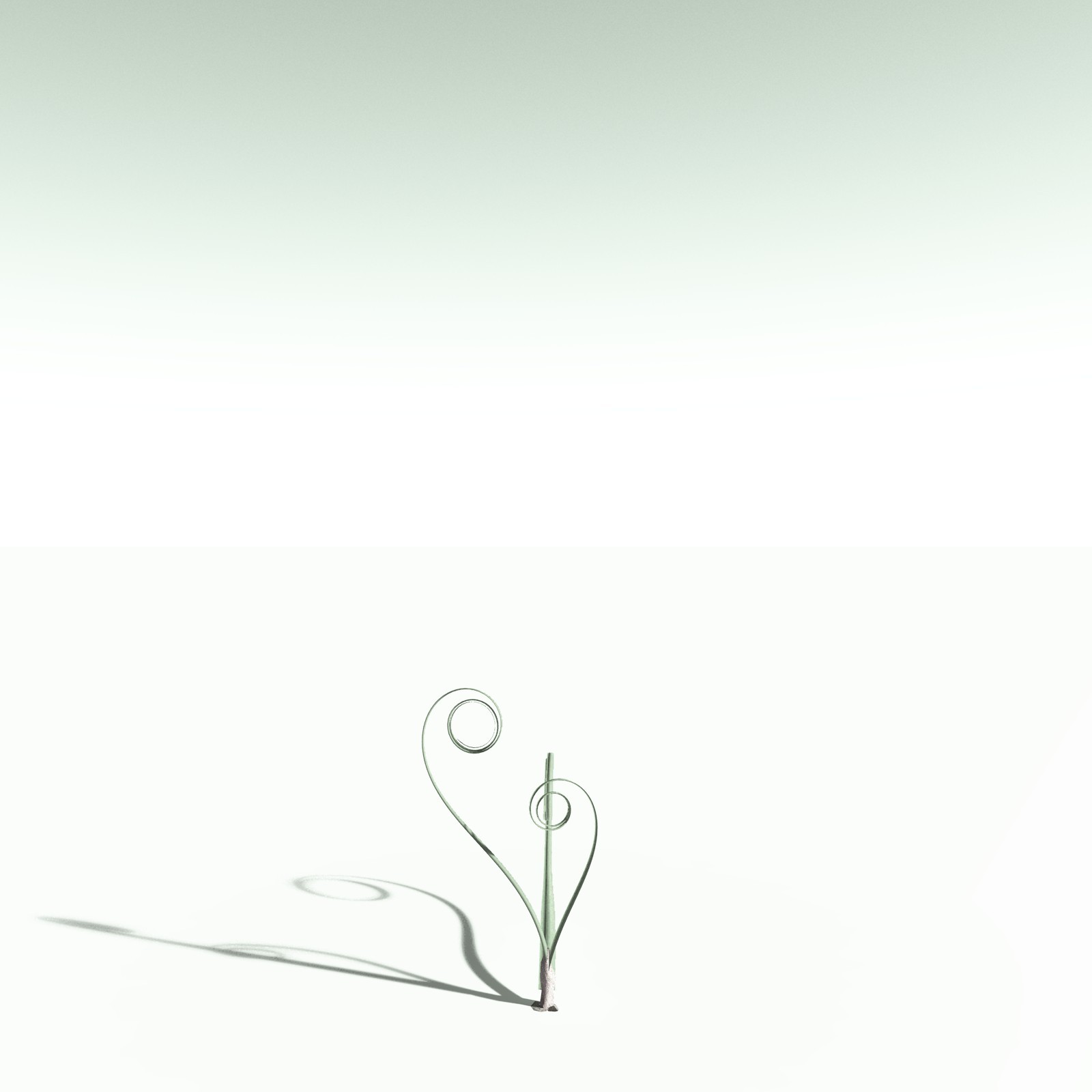 EVERYPlant Noeggerthia Foliosa for Poser by N/A