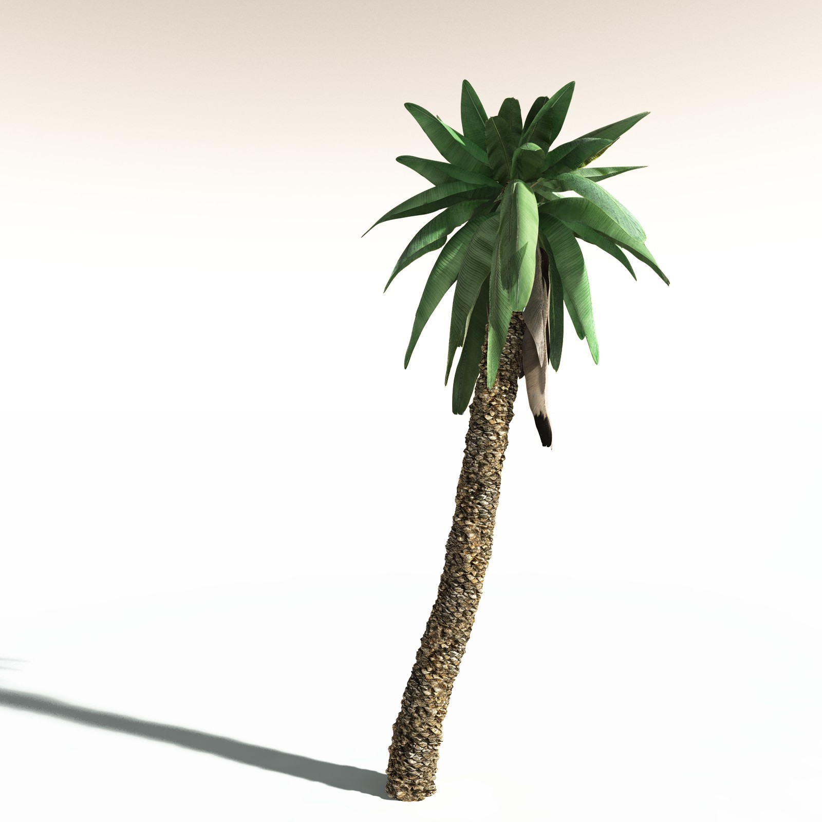 EVERYPlant Bjuvia Simplex for Daz by N/A
