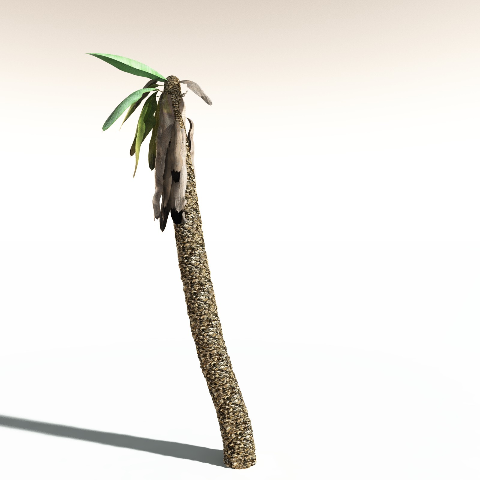 EVERYPlant Bjuvia Simplex for Daz by N/A