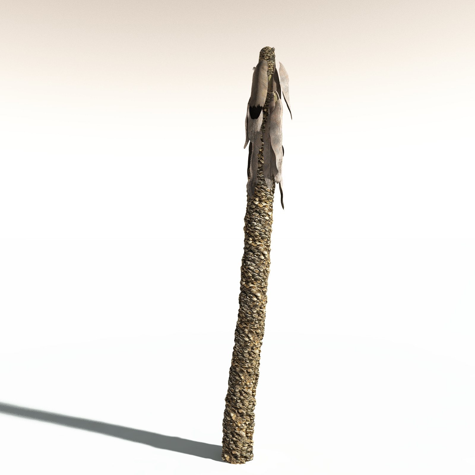 EVERYPlant Bjuvia Simplex for Daz by N/A