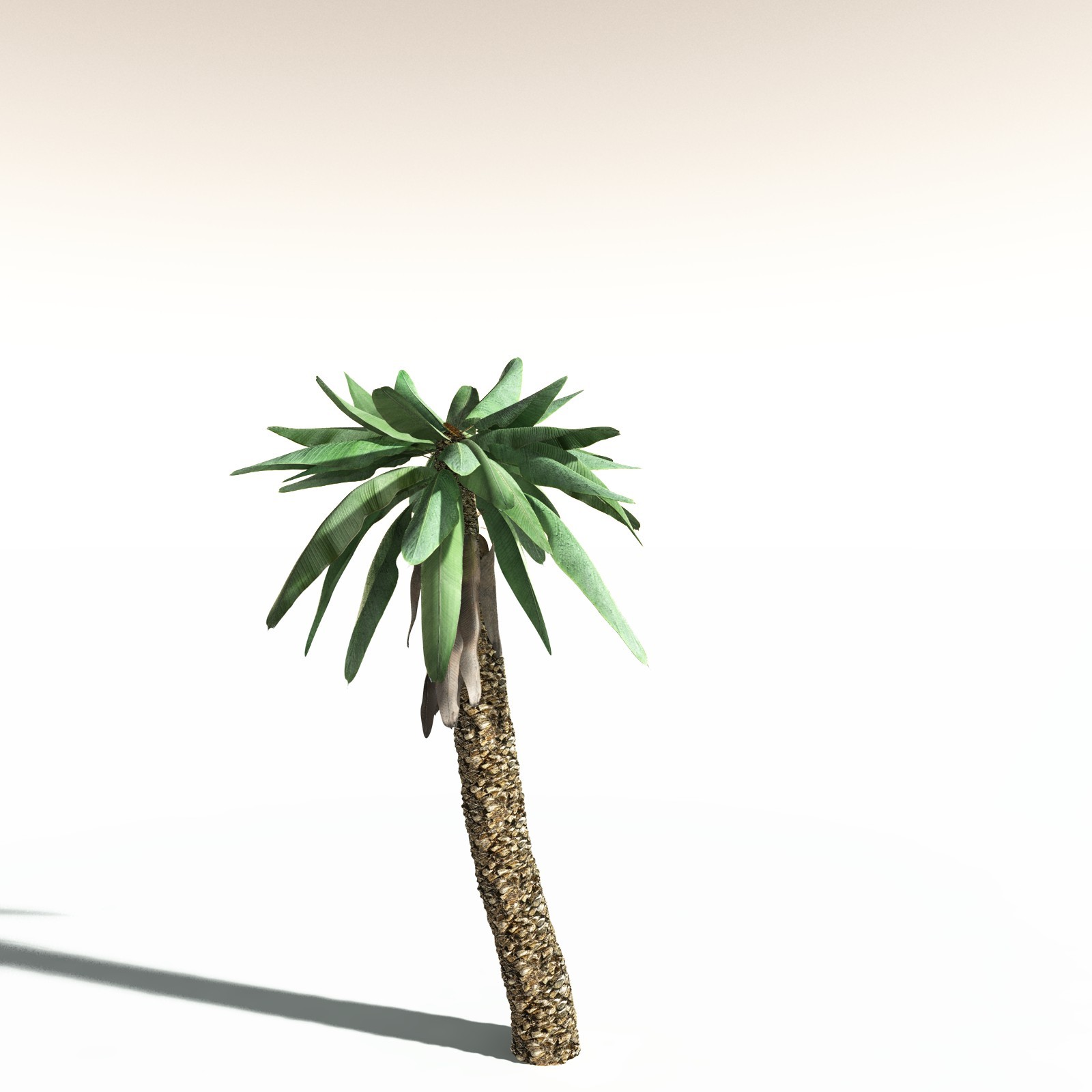 EVERYPlant Bjuvia Simplex for Daz by N/A