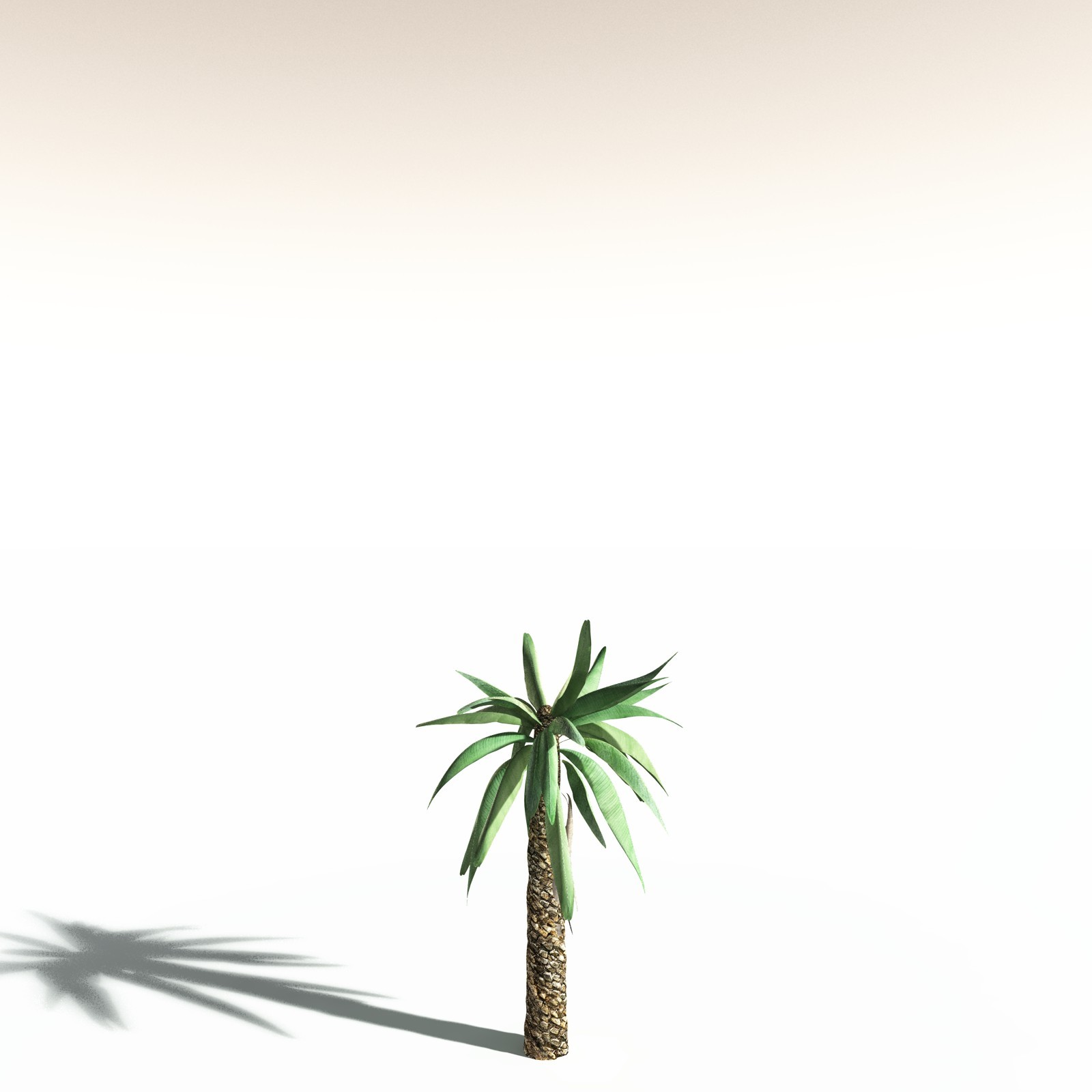 EVERYPlant Bjuvia Simplex for Daz by N/A