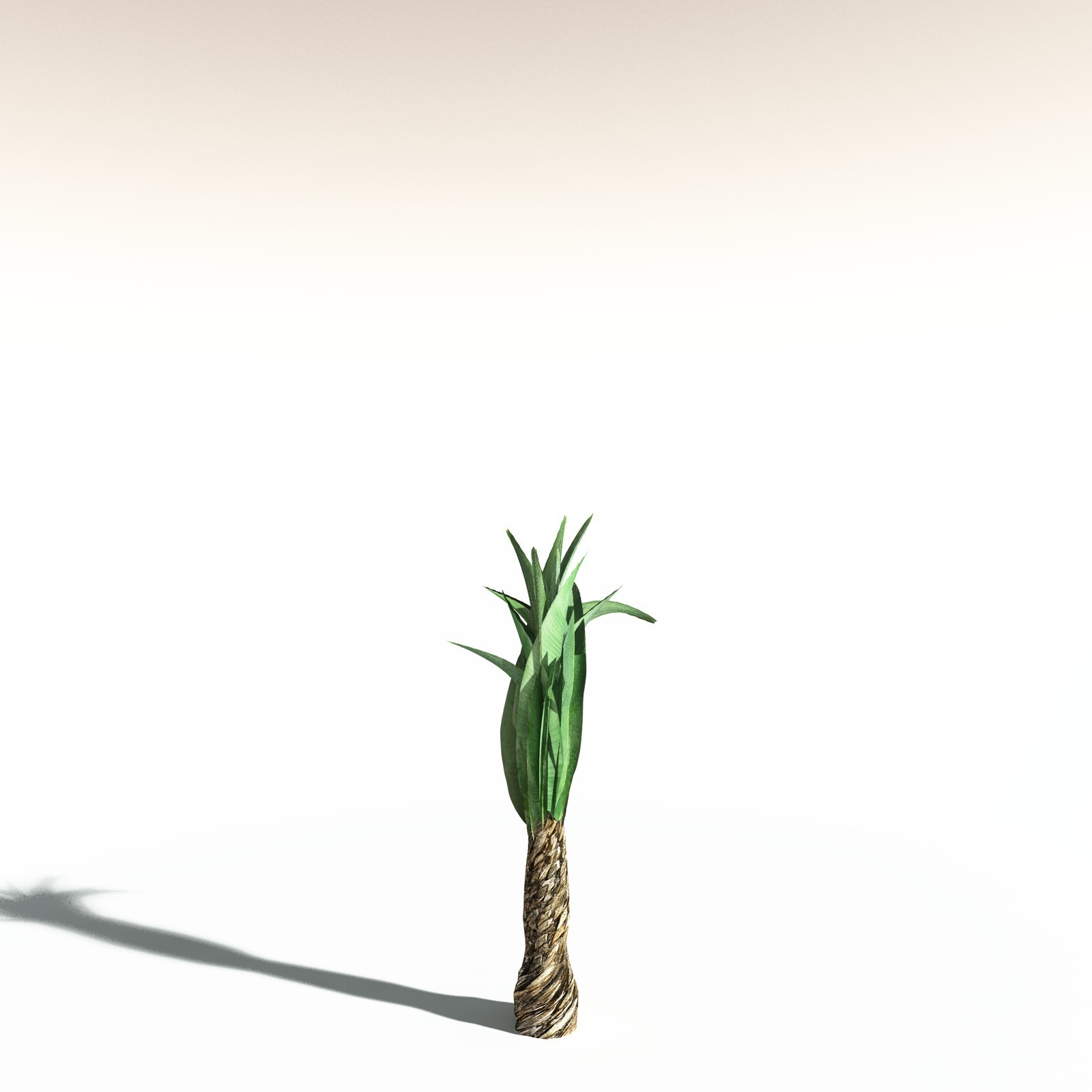 EVERYPlant Bjuvia Simplex for Daz by N/A