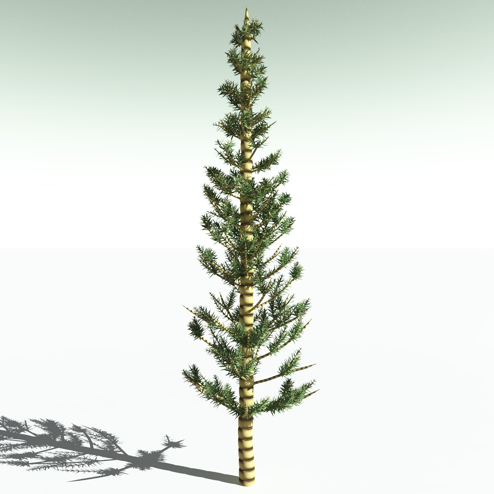 EVERYPlant Arthropitys Bistrata for Poser by N/A