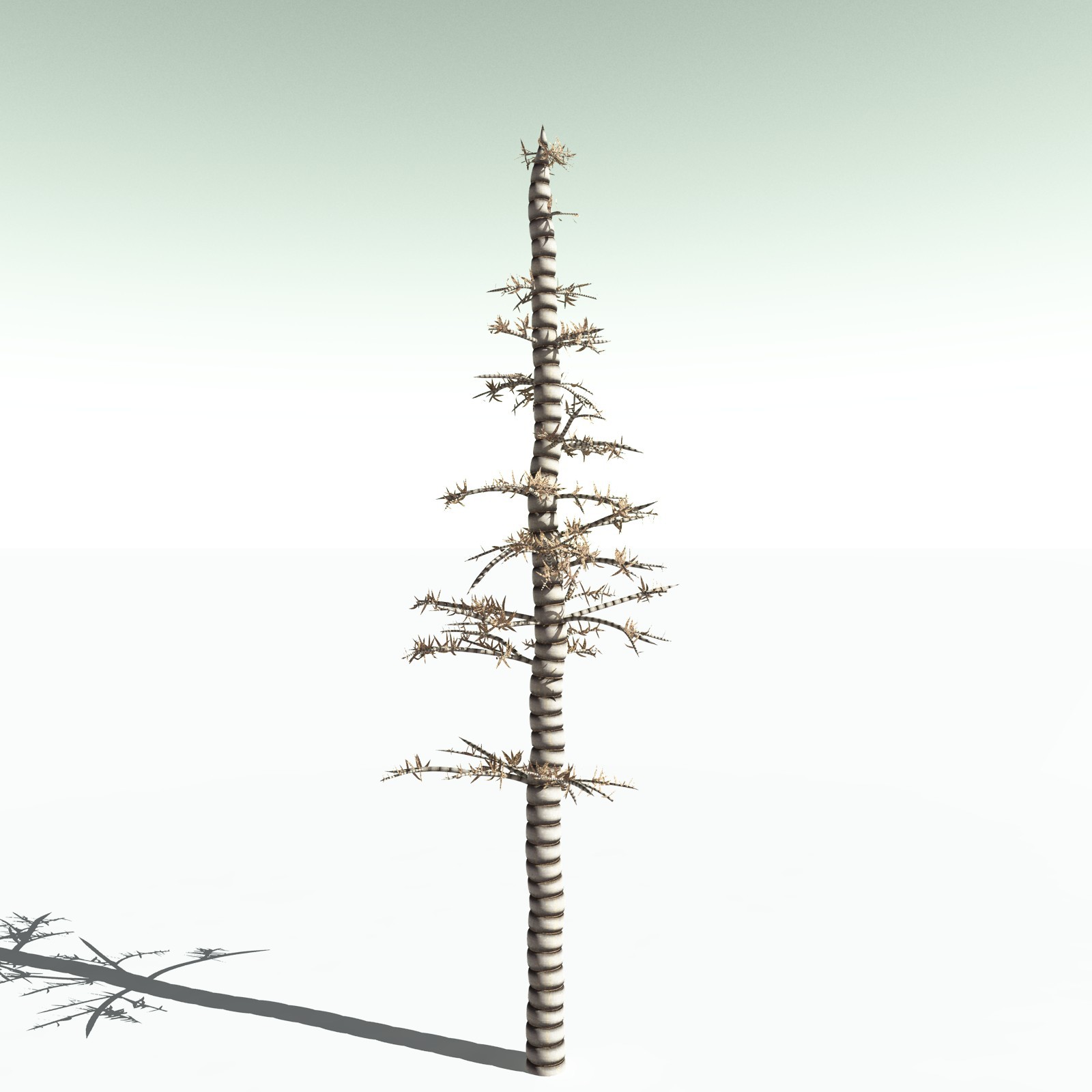EVERYPlant Arthropitys Bistrata for Poser by N/A