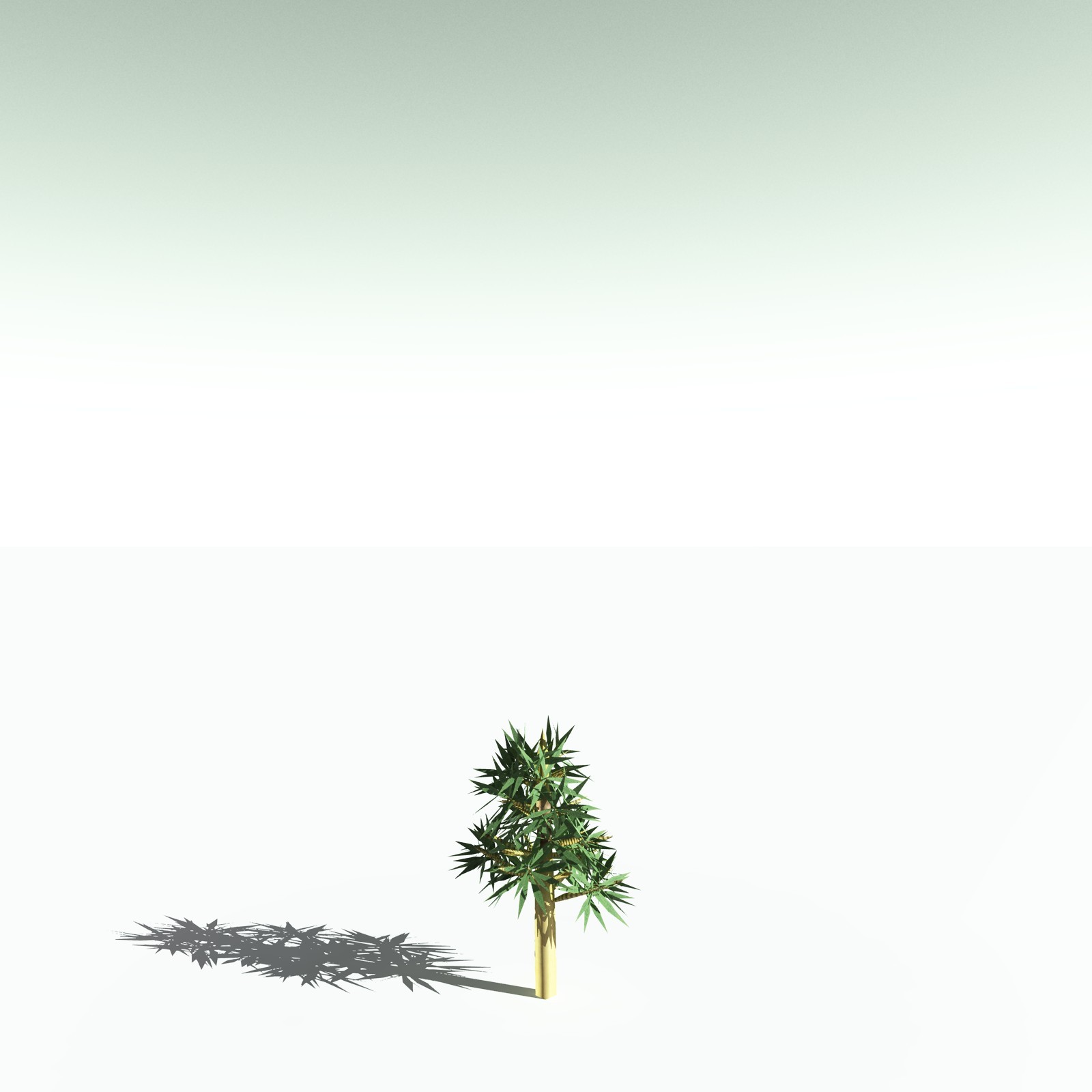 EVERYPlant Arthropitys Bistrata for Poser by N/A