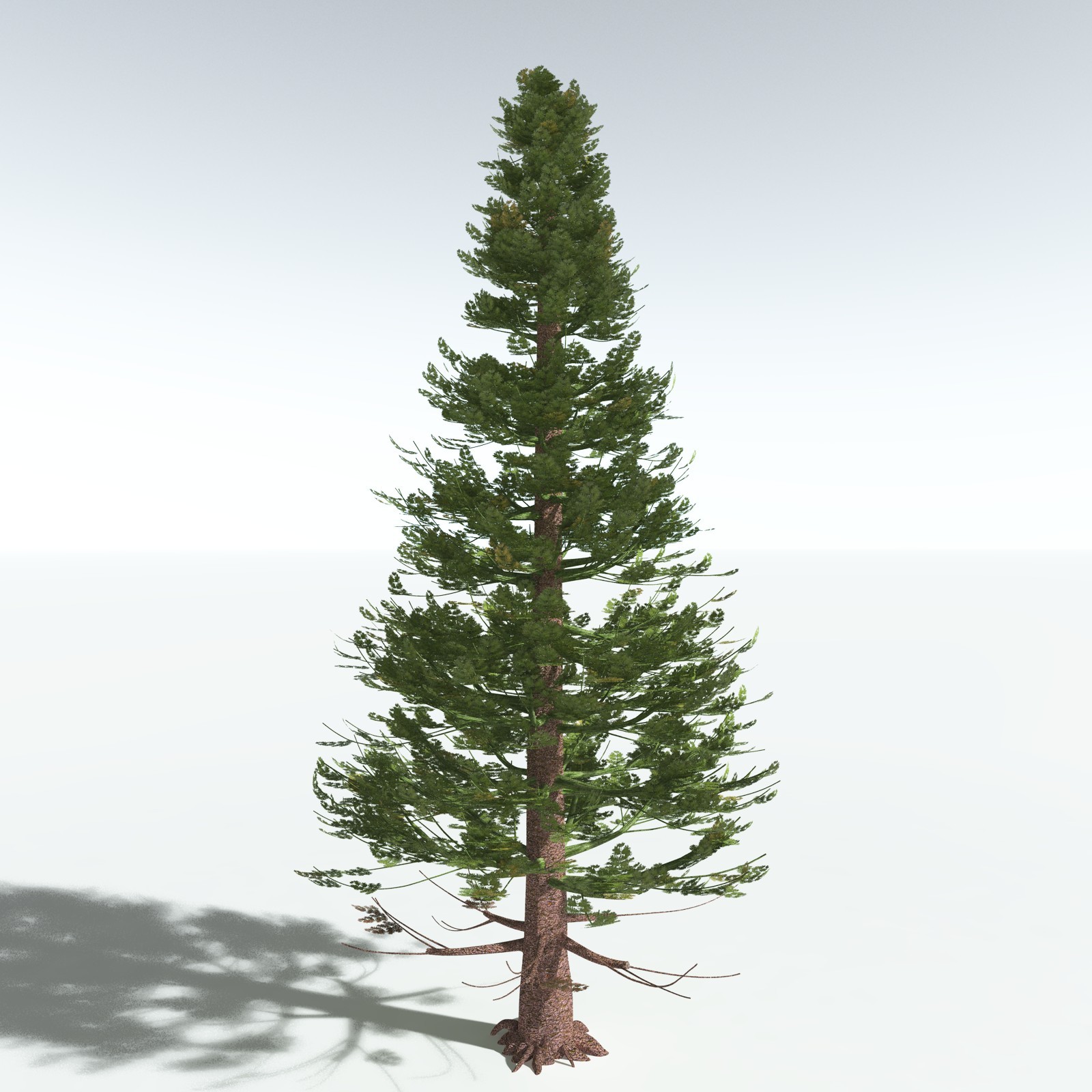 EVERYPlant Permian Biome for Vue by N/A