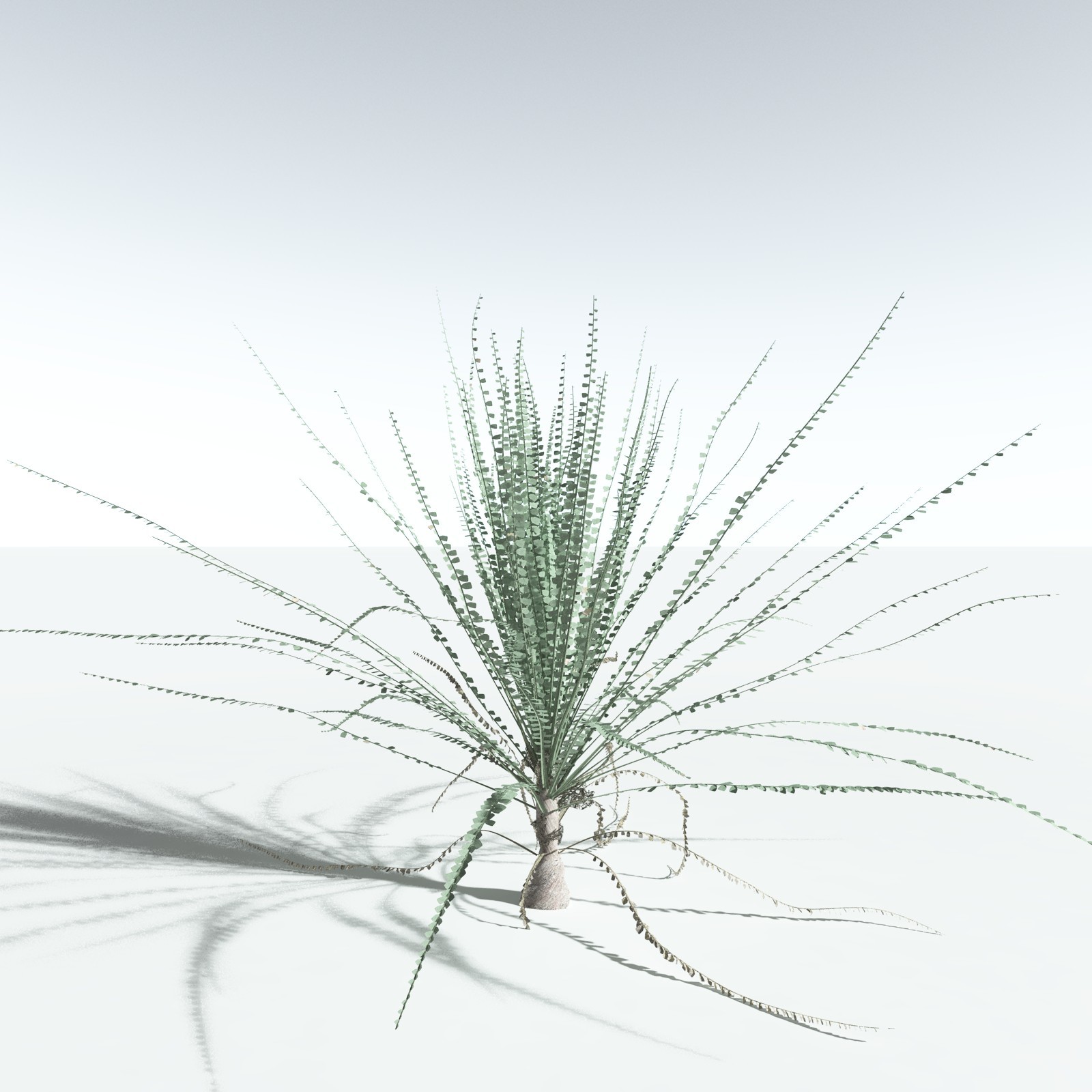EVERYPlant Permian Biome for Vue by N/A