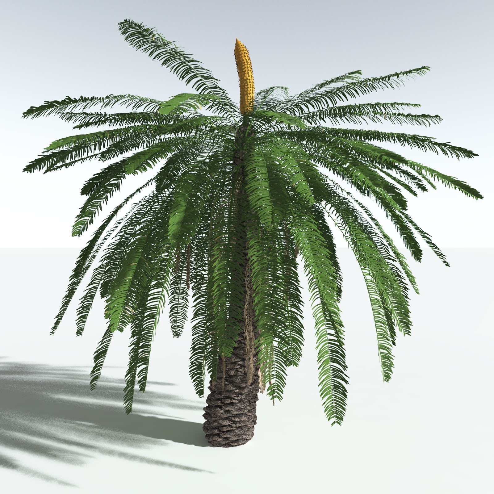 EVERYPlant Permian Biome for Vue by N/A