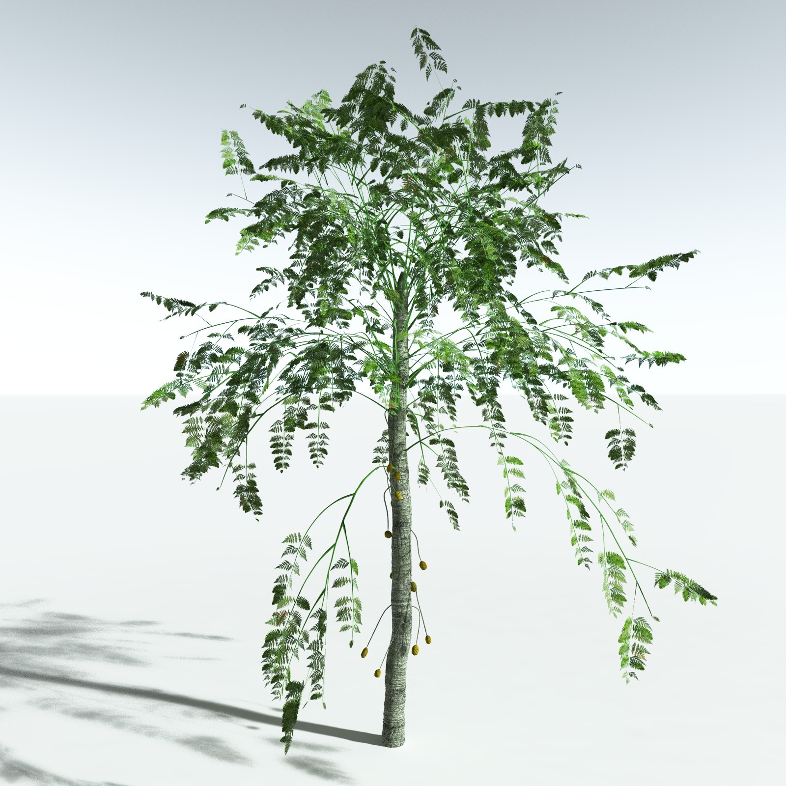 EVERYPlant Permian Biome for Vue by N/A