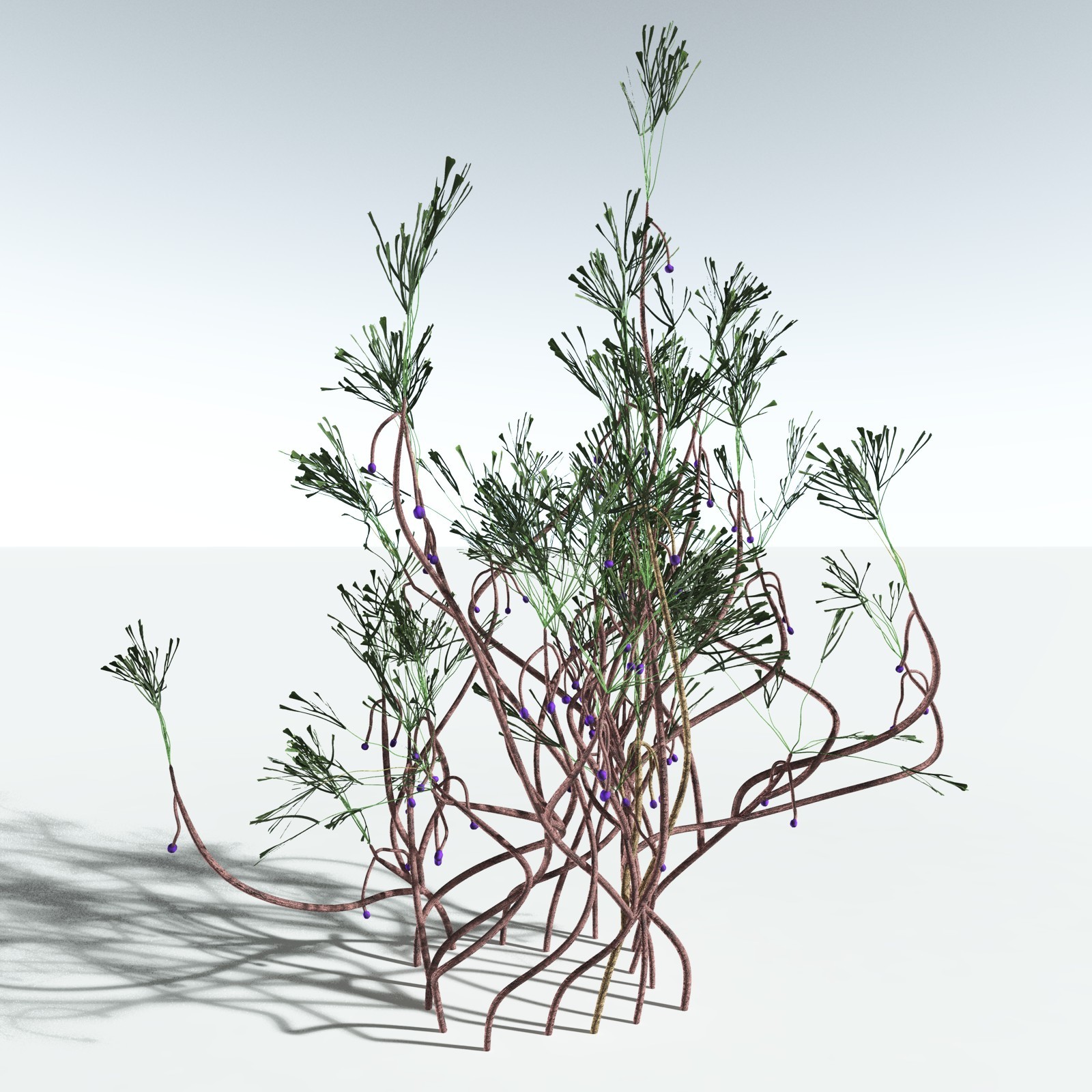 EVERYPlant Permian Biome for Vue by N/A