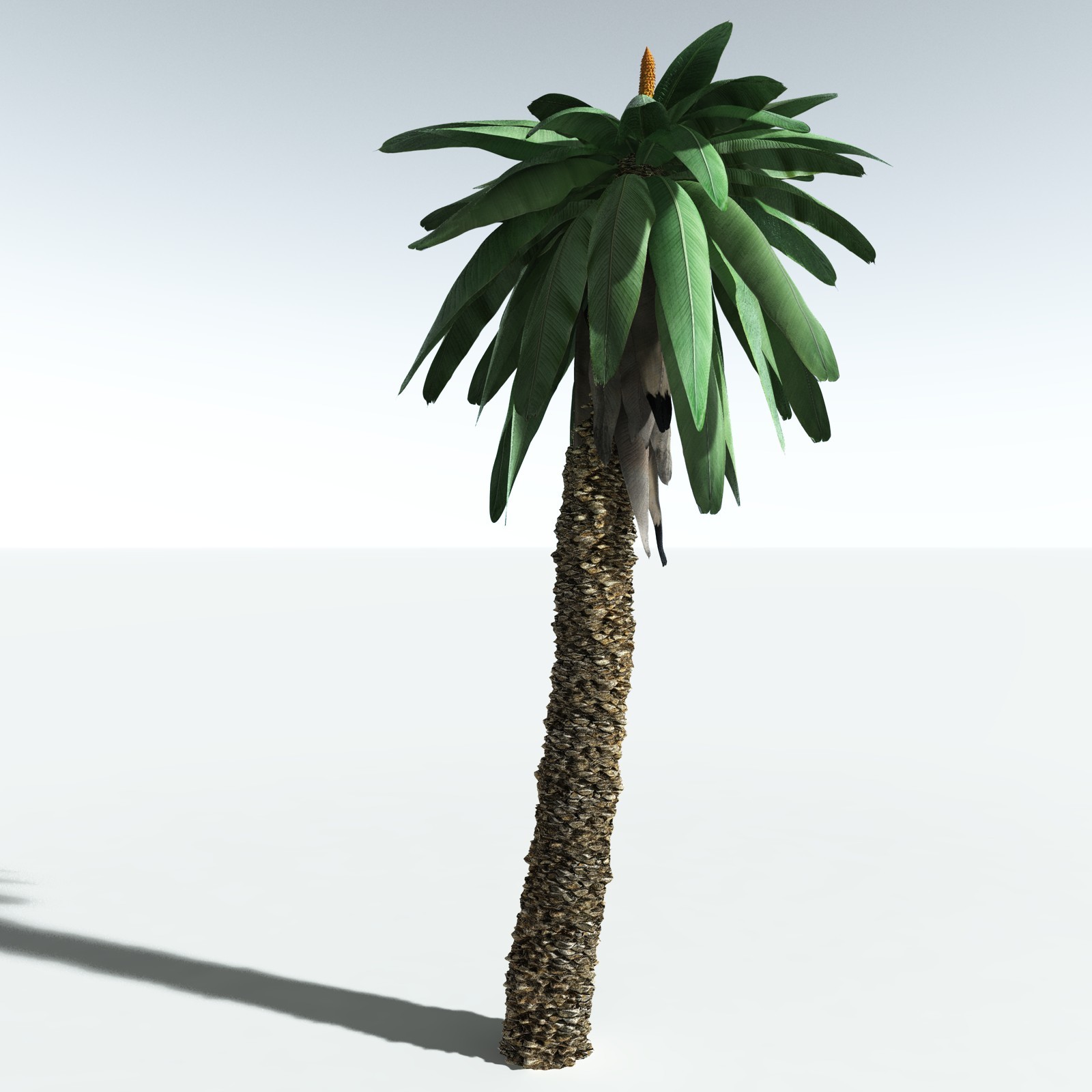 EVERYPlant Permian Biome for Vue by N/A
