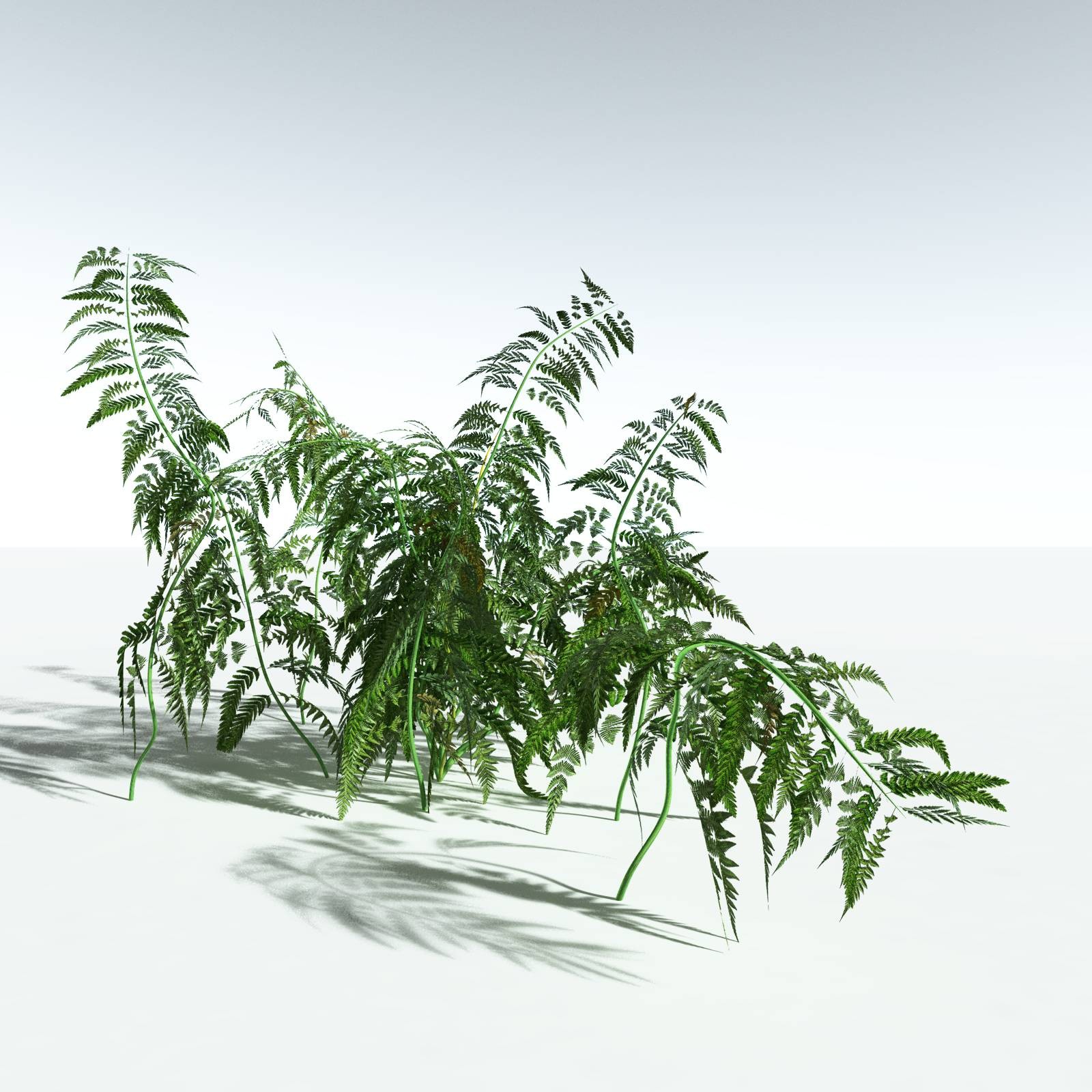 EVERYPlant Permian Biome for Vue by N/A