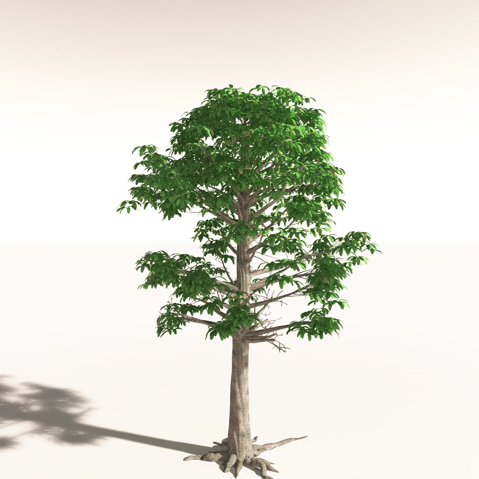 EVERYPlant Permian Biome for Daz by N/A