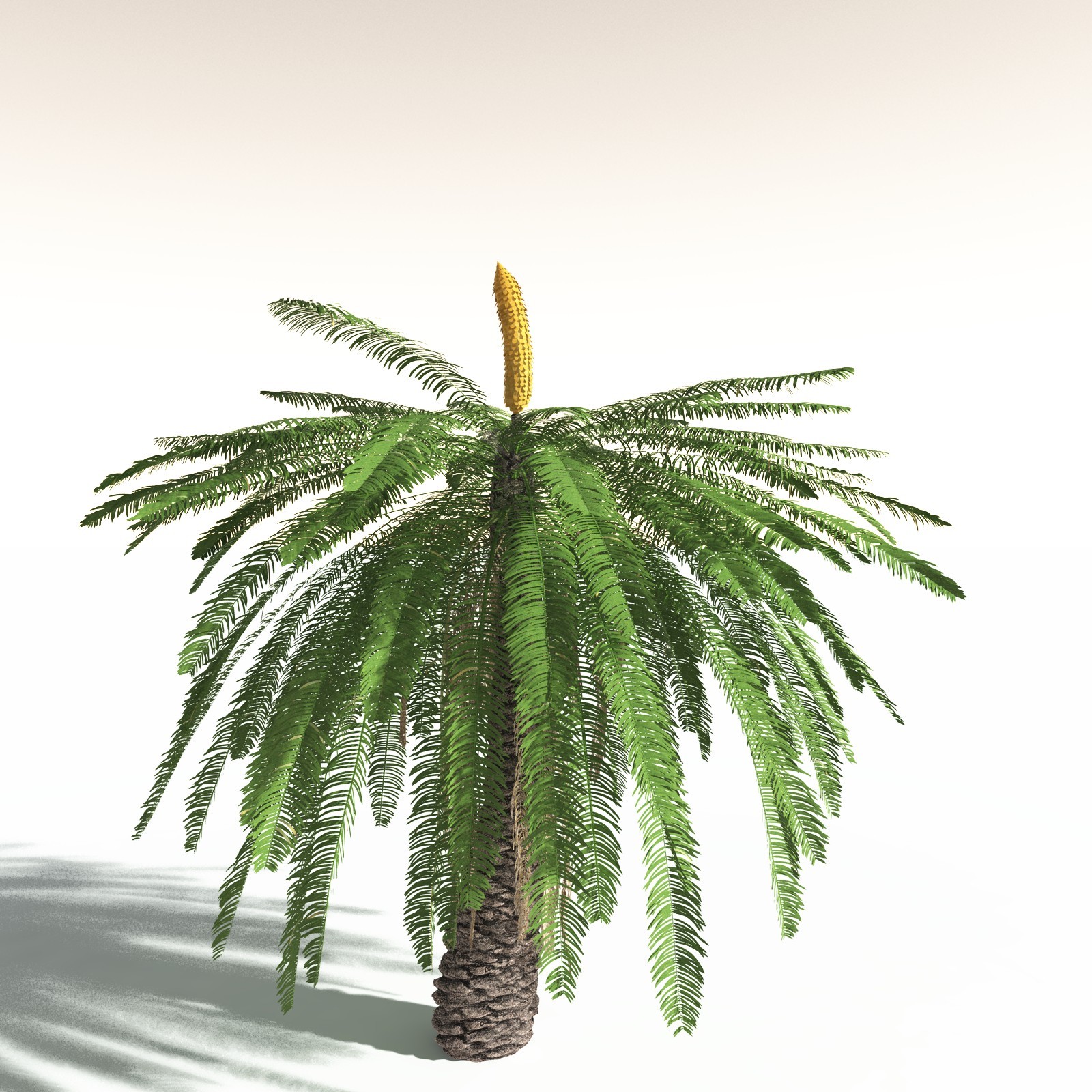 EVERYPlant Permian Biome for Daz by N/A
