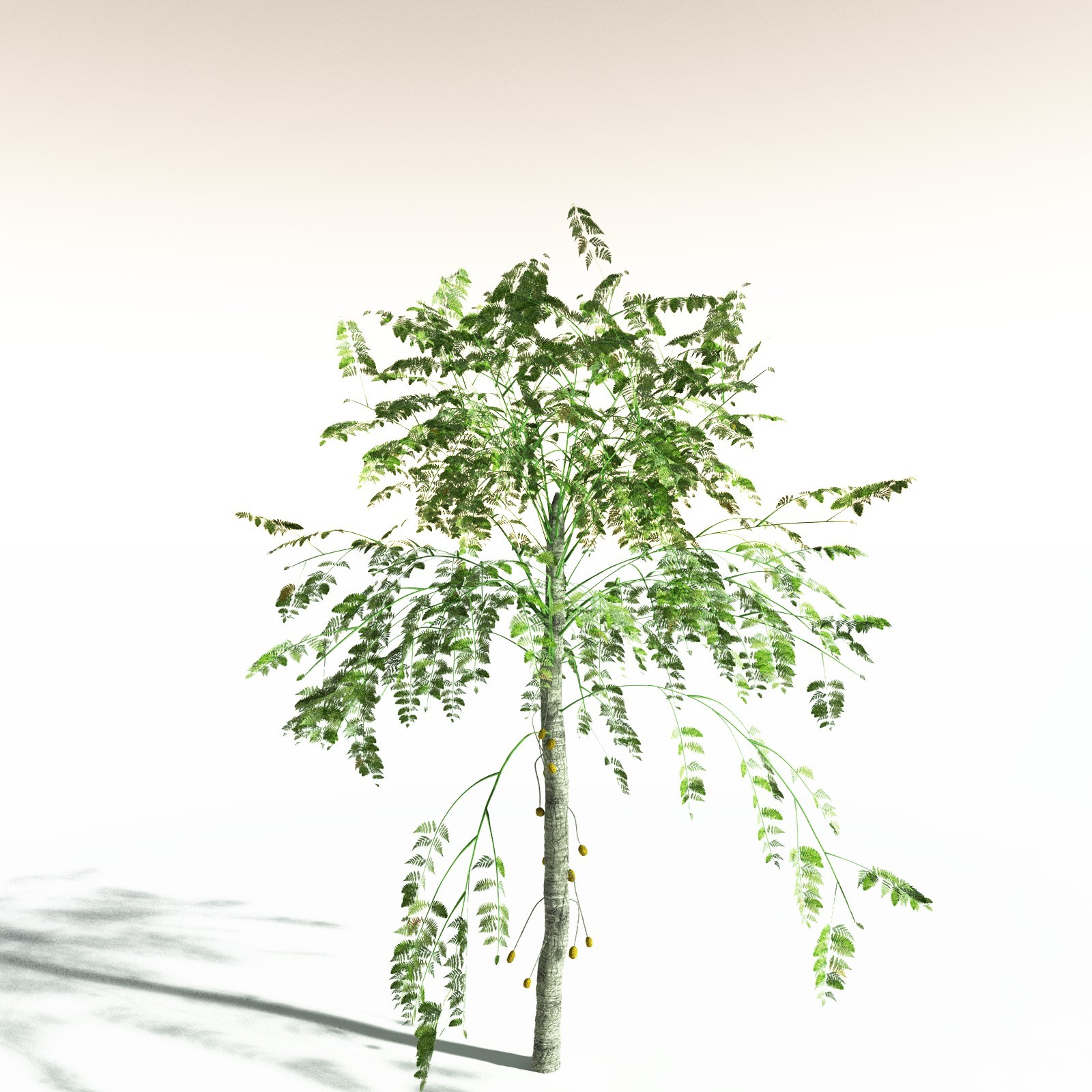 EVERYPlant Permian Biome for Daz by N/A