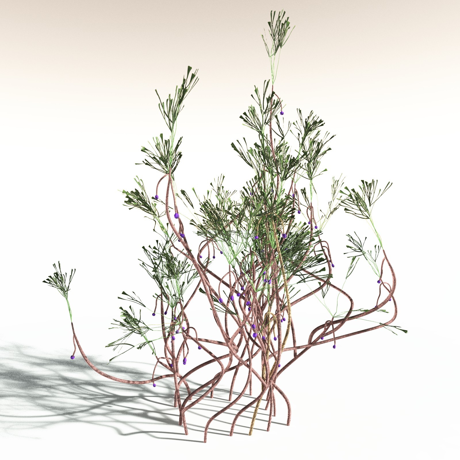EVERYPlant Permian Biome for Daz by N/A
