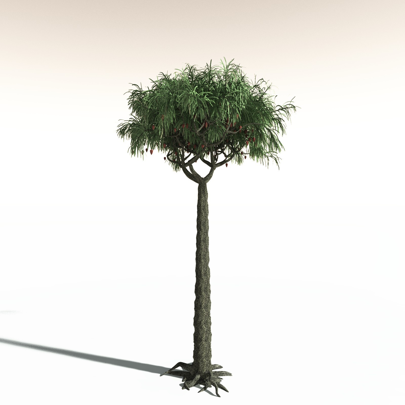 EVERYPlant Permian Biome for Daz by N/A