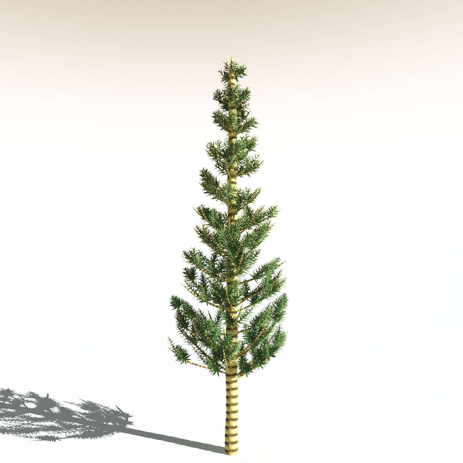 EVERYPlant Permian Biome for Daz by N/A