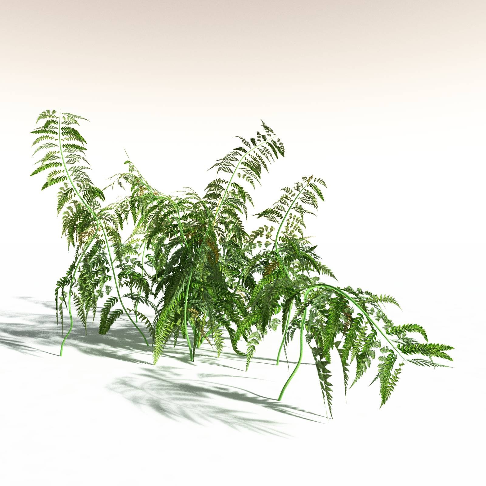 EVERYPlant Permian Biome for Daz by N/A