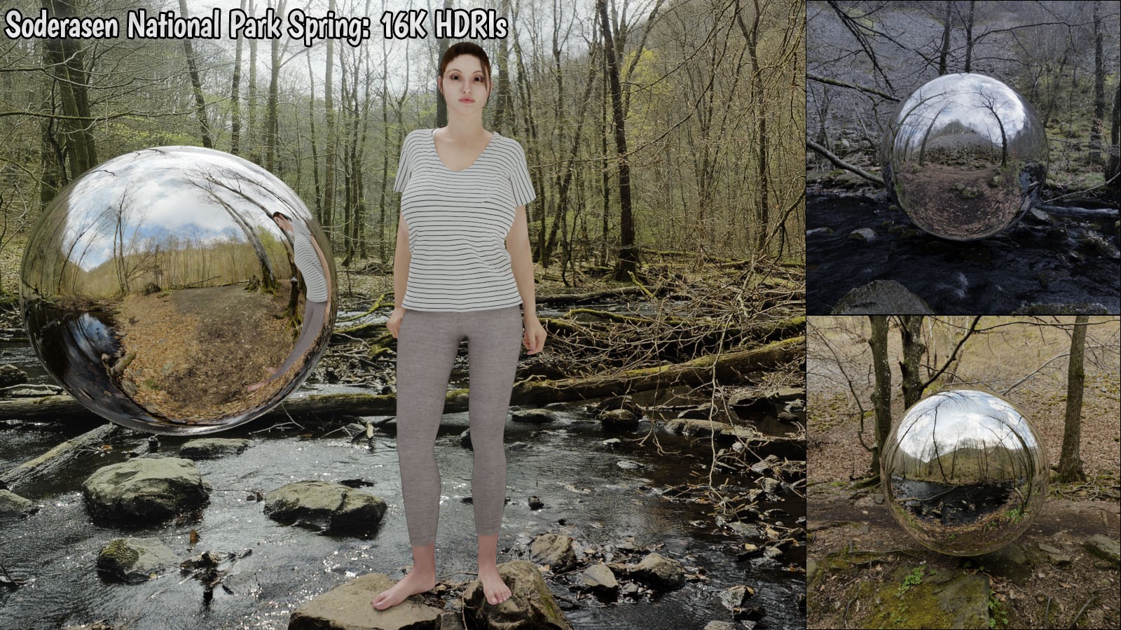 Soderasen National Park Spring: 16K HDRIs by N/A