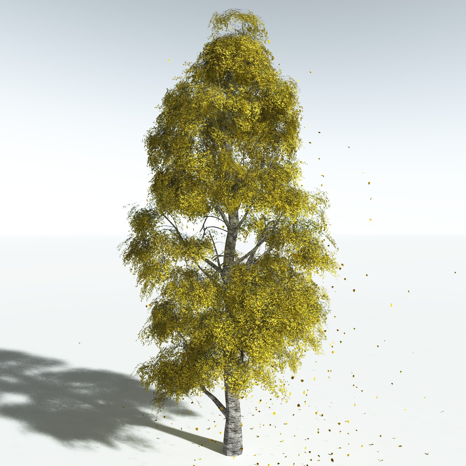 EVERYPlant Silver Birch for Vue by N/A
