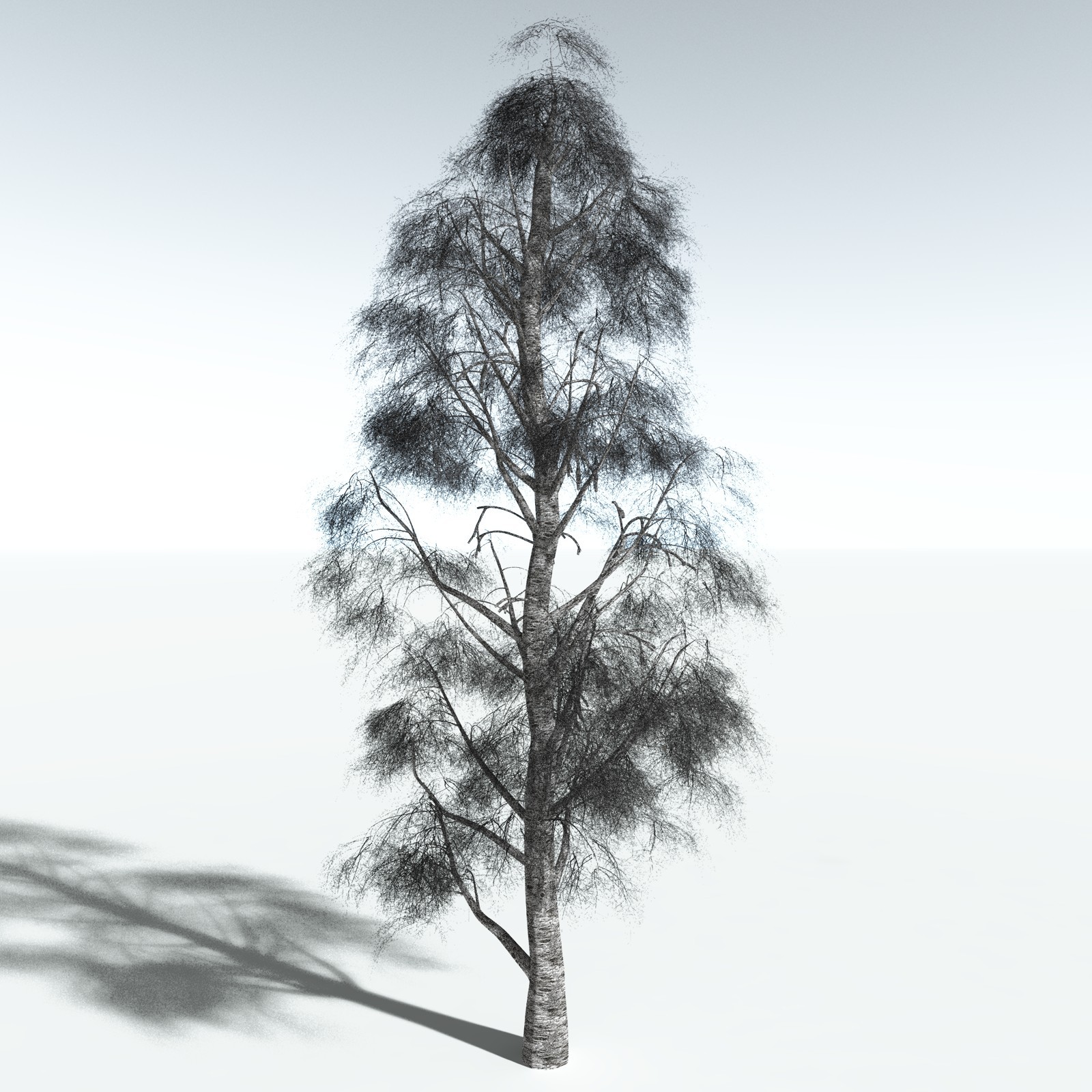 EVERYPlant Silver Birch for Vue by N/A