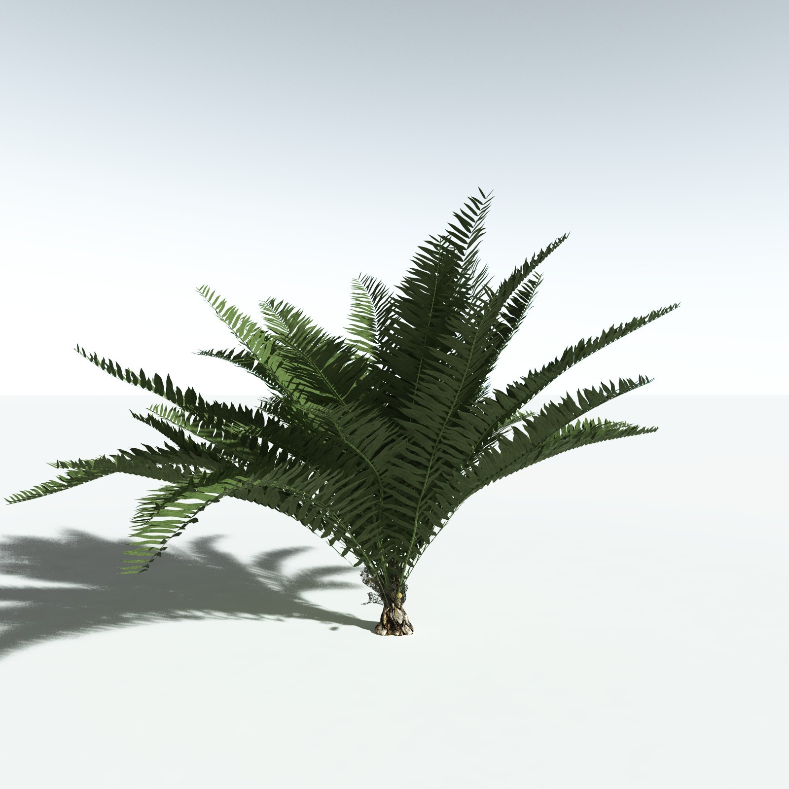 EVERYPlant Seashore Palm for Vue by N/A