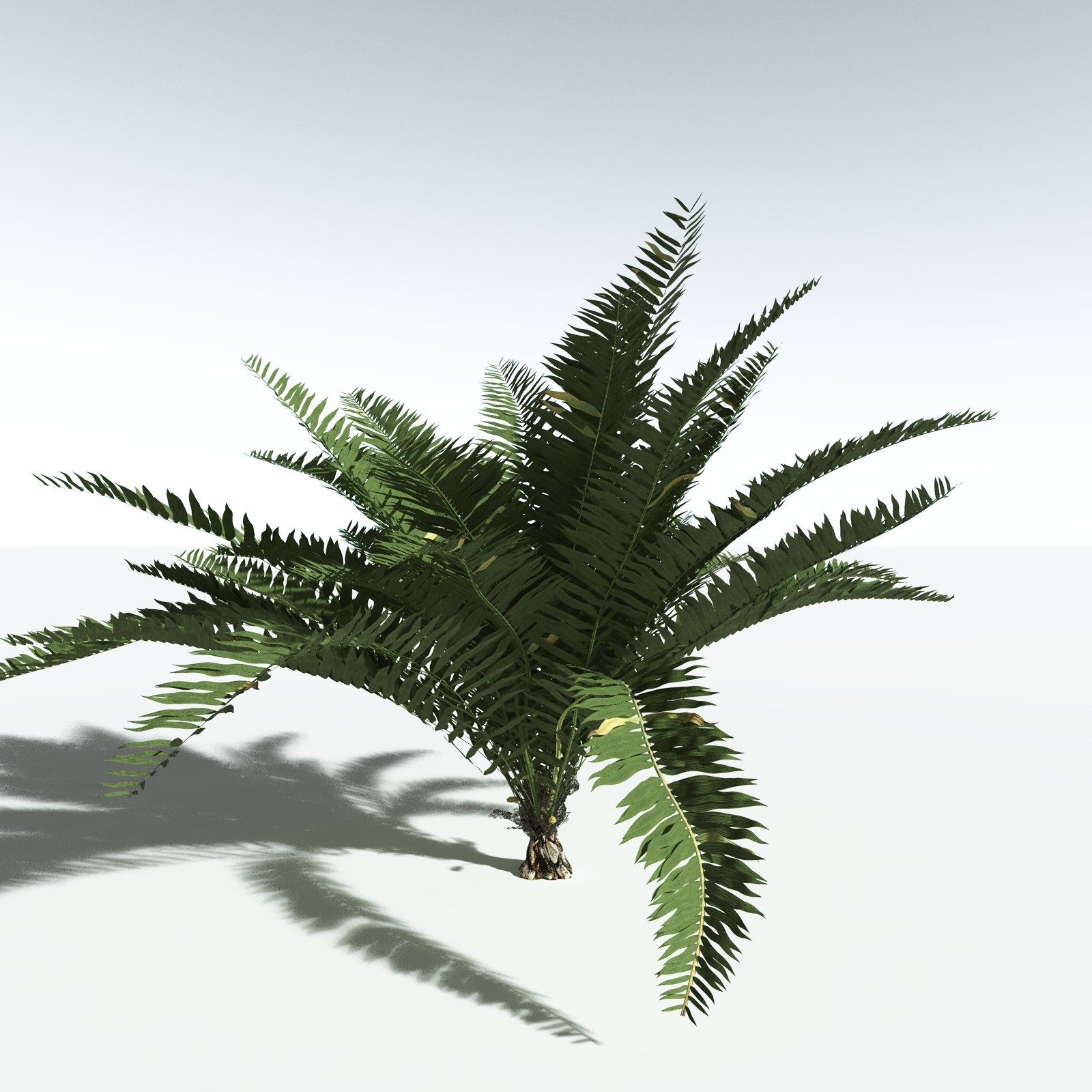 EVERYPlant Seashore Palm for Vue by N/A
