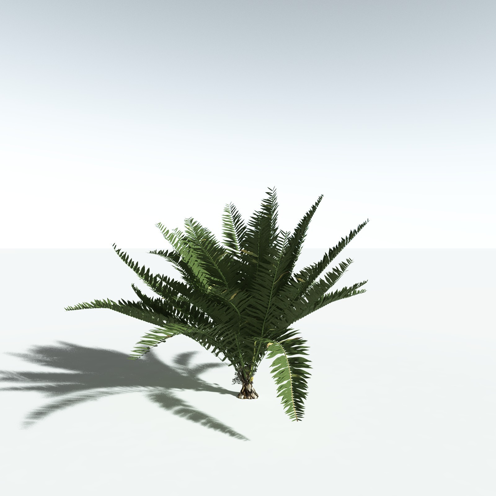 EVERYPlant Seashore Palm for Vue by N/A