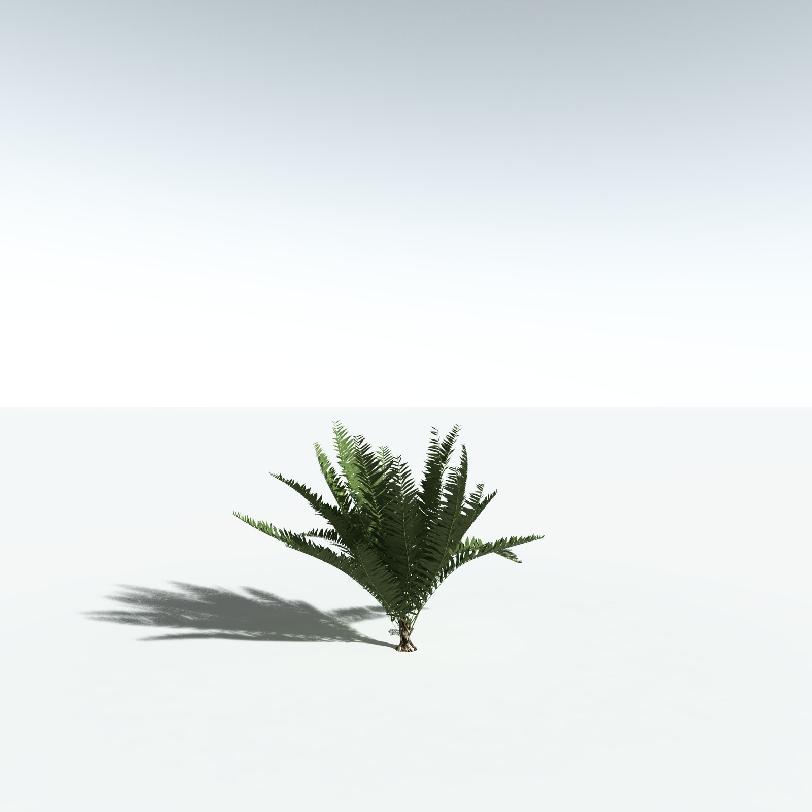 EVERYPlant Seashore Palm for Vue by N/A