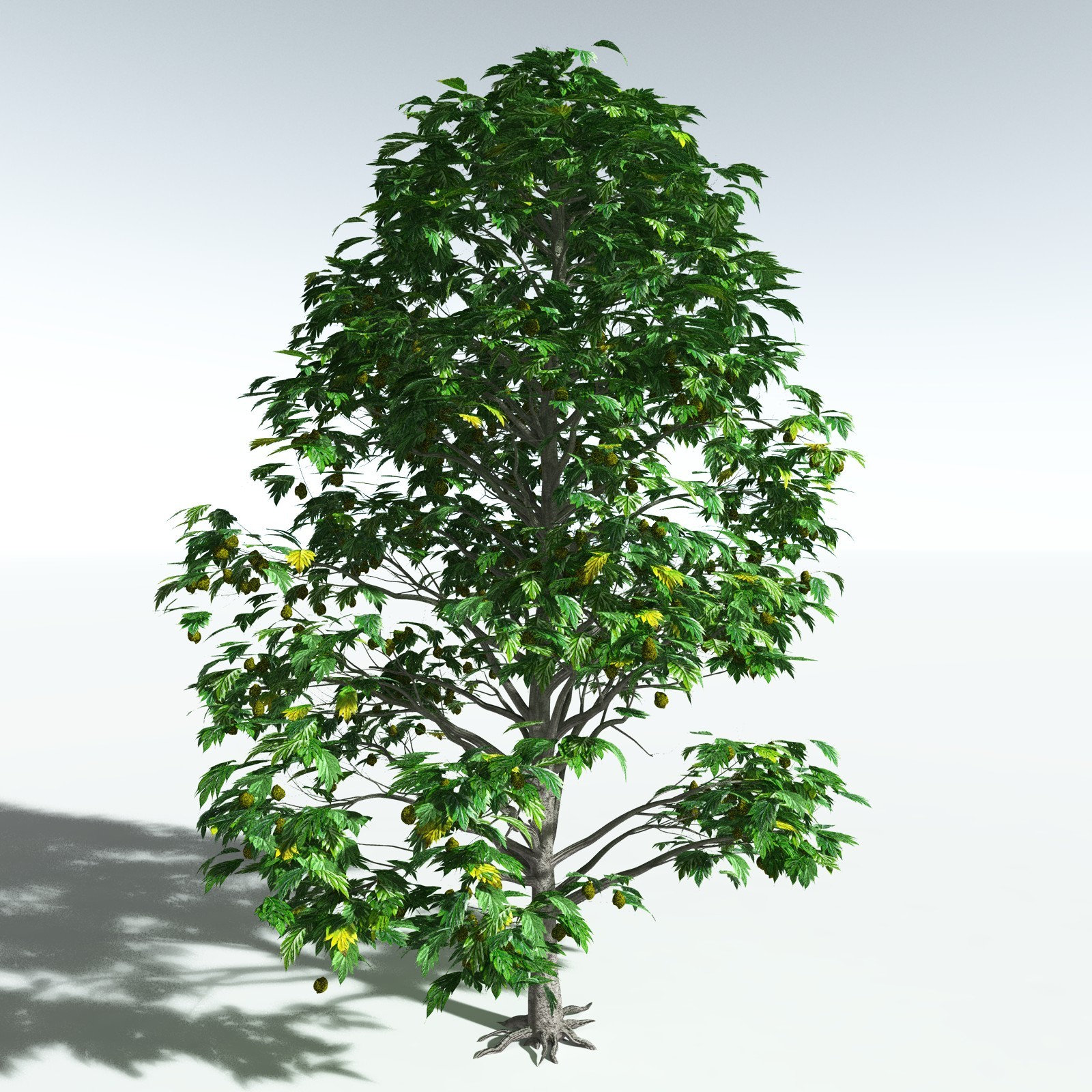 EVERYPlant Breadnut for Vue by N/A
