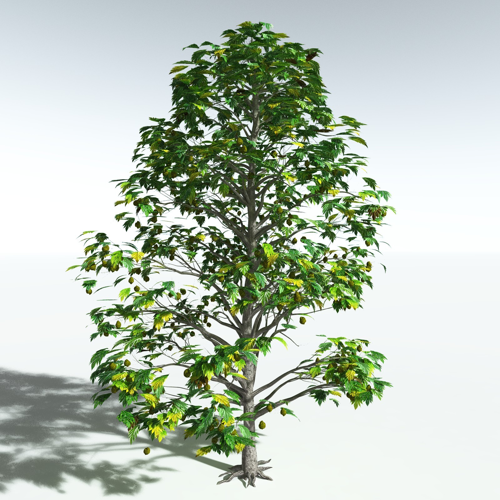 EVERYPlant Breadnut for Vue by N/A