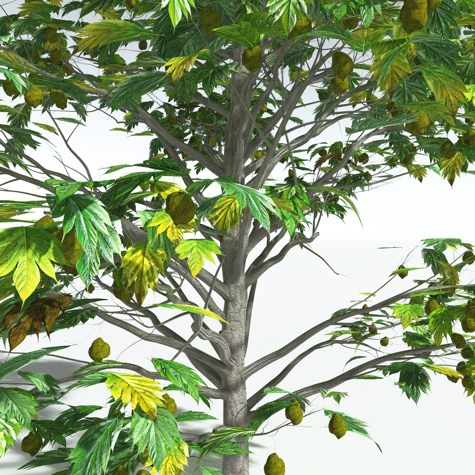 EVERYPlant Breadnut for Vue by N/A