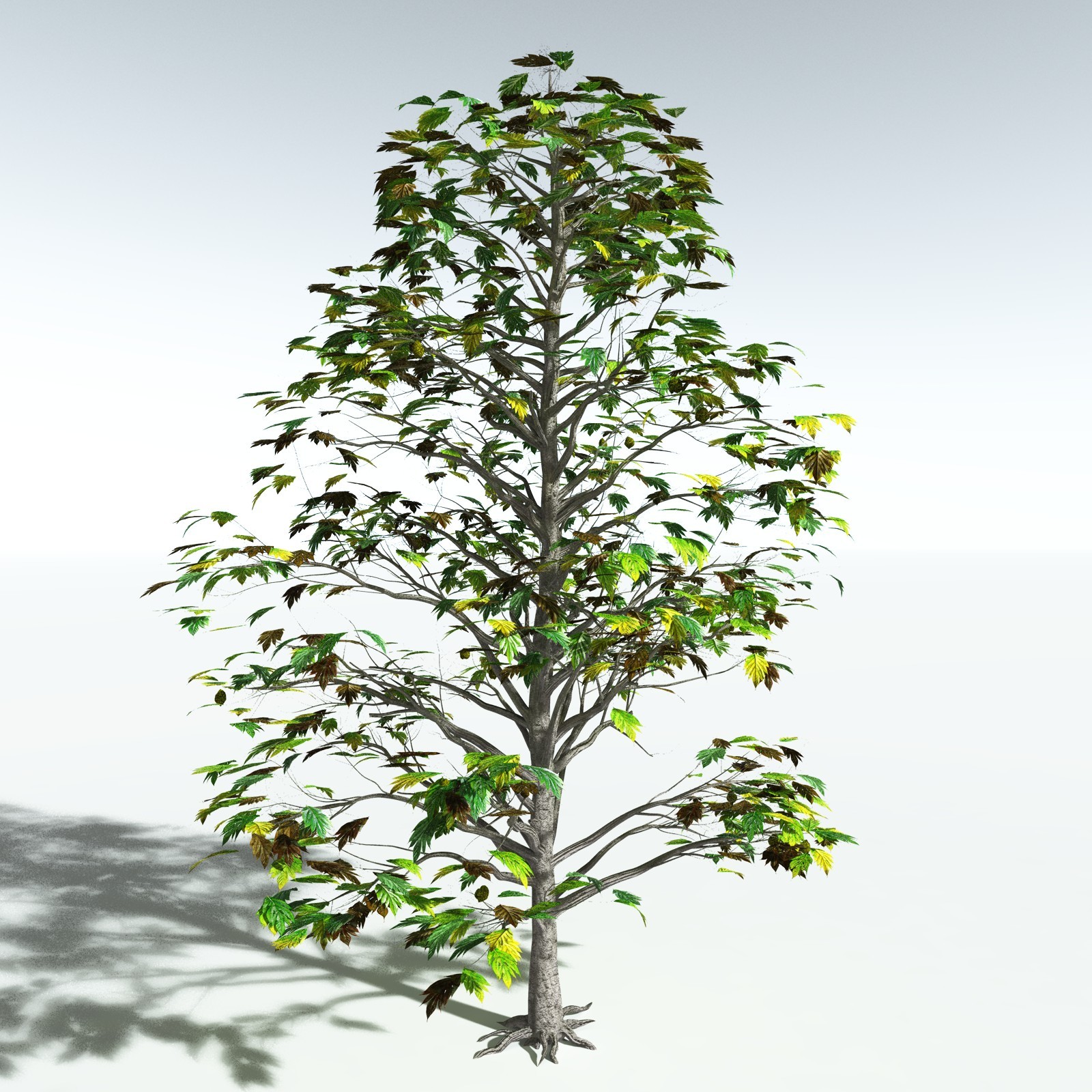 EVERYPlant Breadnut for Vue by N/A