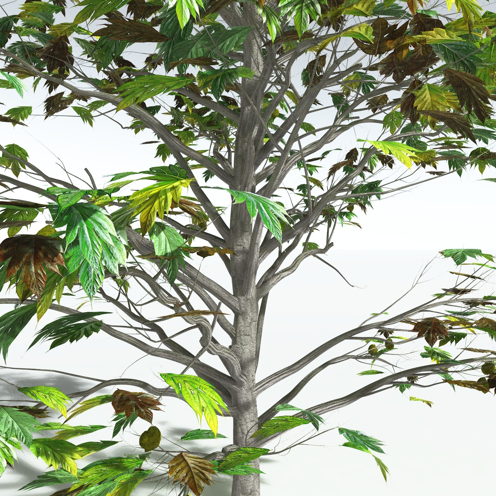 EVERYPlant Breadnut for Vue by N/A