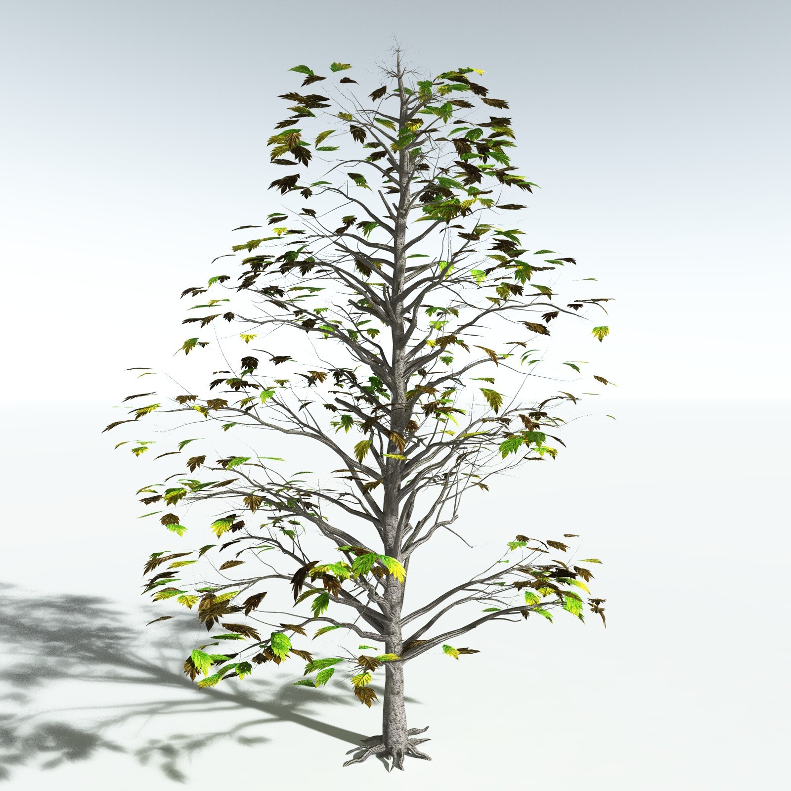 EVERYPlant Breadnut for Vue by N/A