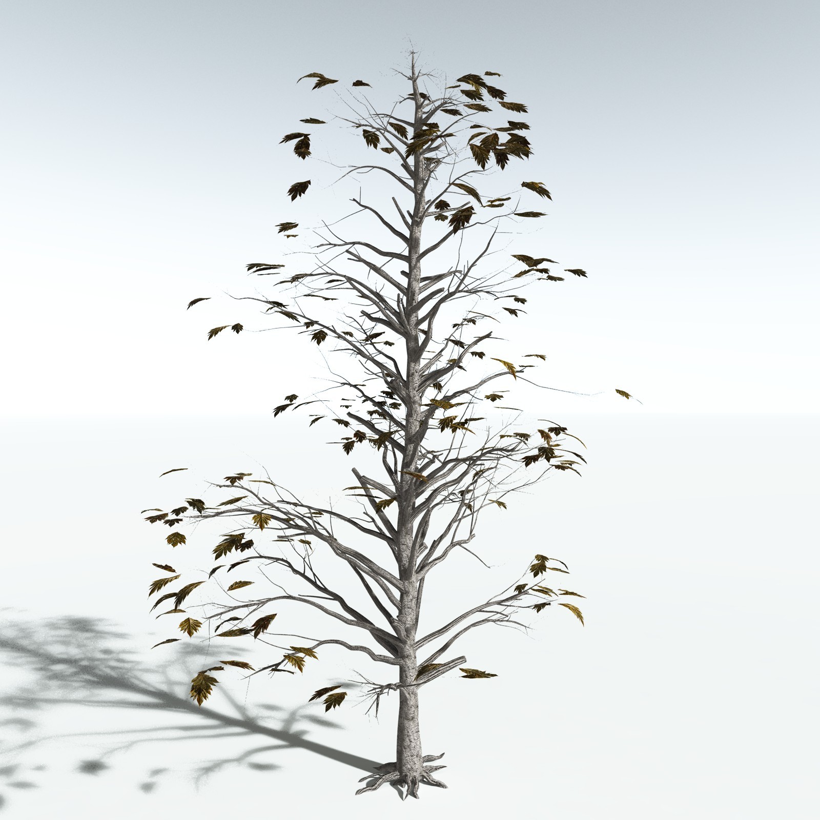 EVERYPlant Breadnut for Vue by N/A