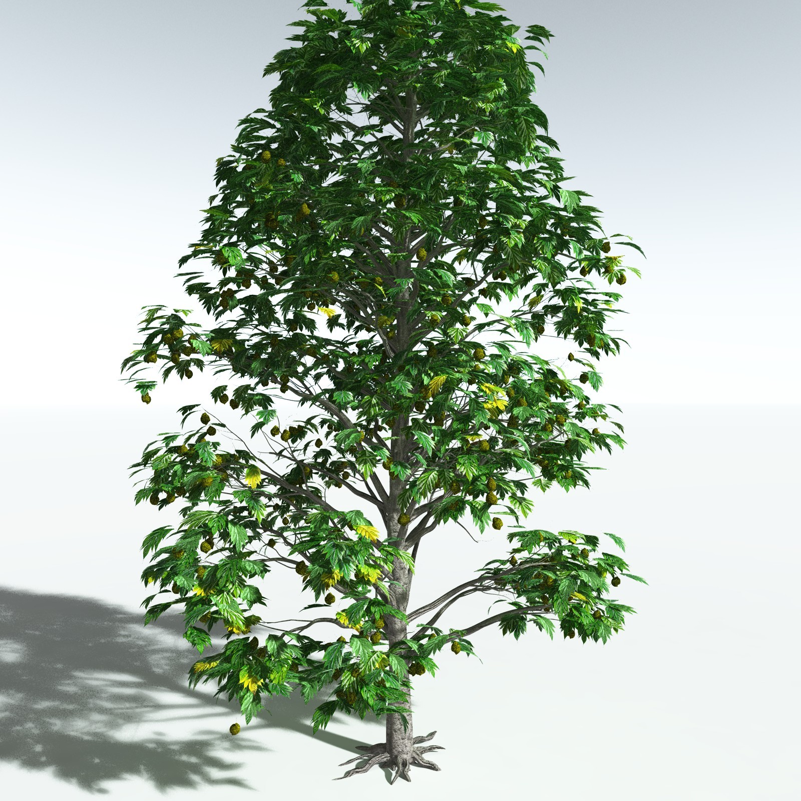 EVERYPlant Breadnut for Vue by N/A