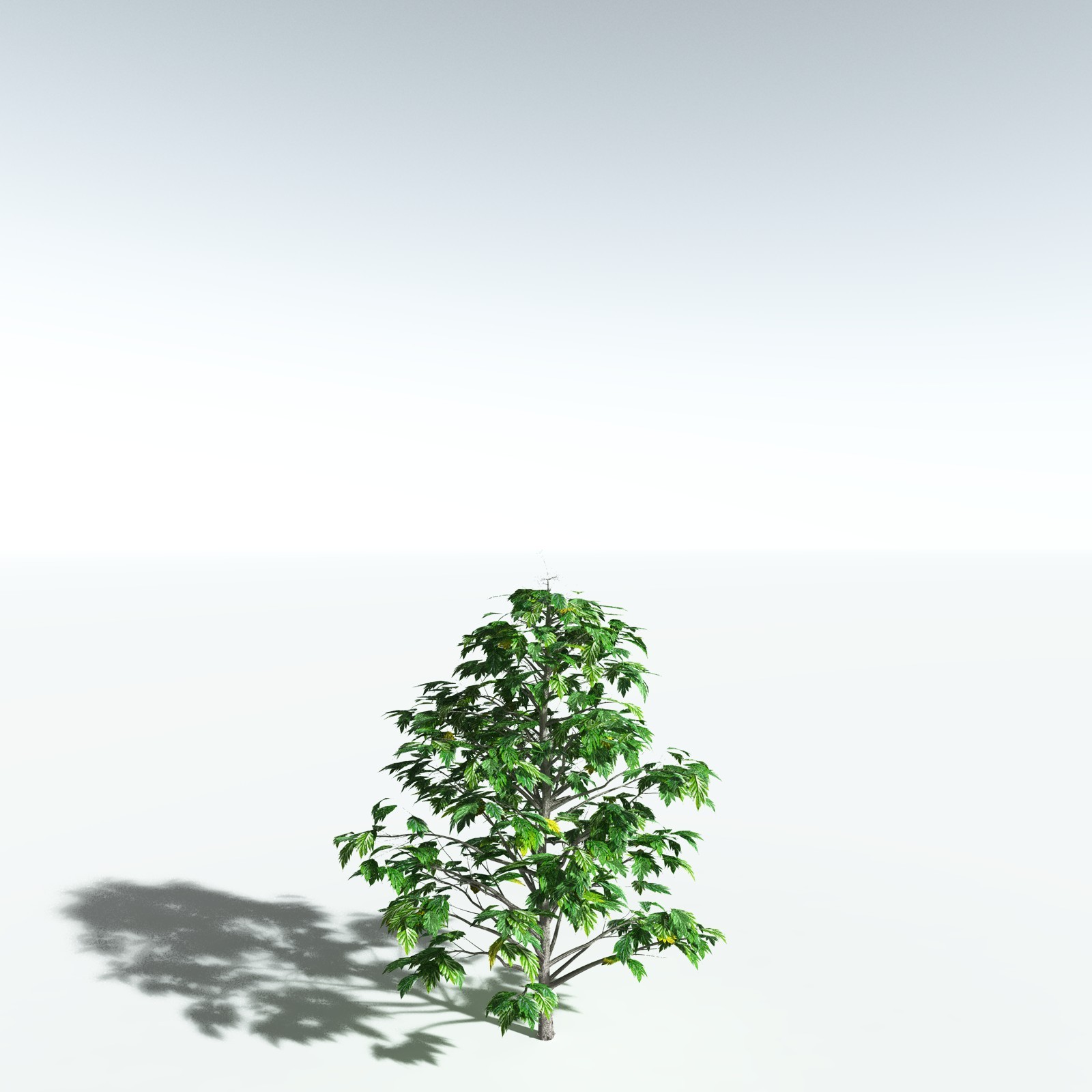 EVERYPlant Breadnut for Vue by N/A